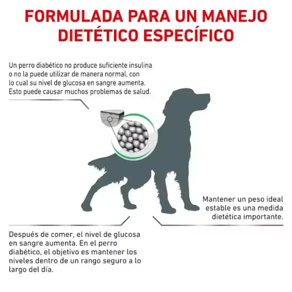 Royal Canin Veterinary Diabetic 7 kg Pienso para Perros Diabéticos - Image 4