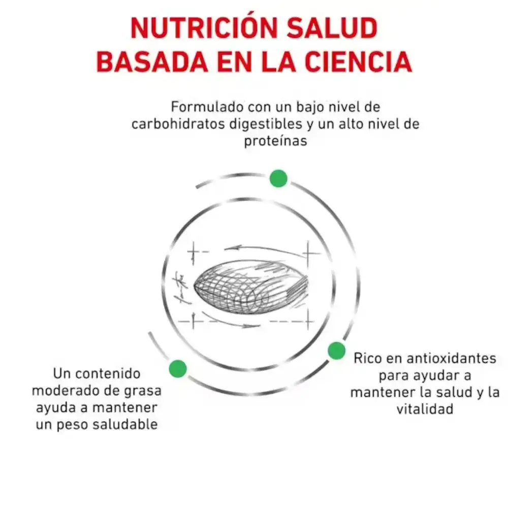 Royal Canin Veterinary Diabetic 7 kg Pienso para Perros Diabéticos - Image 5