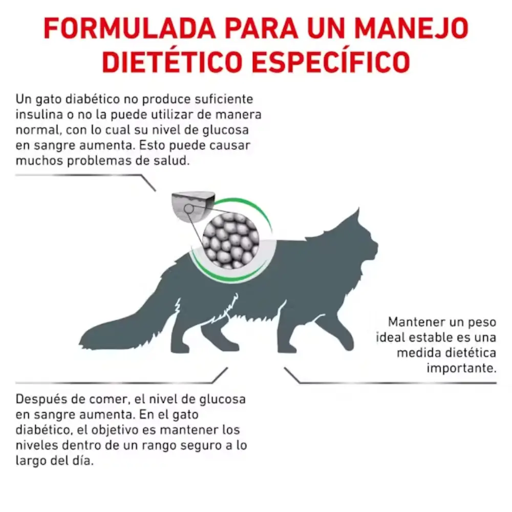 Royal Canin Veterinary Diabetic Pienso para Gatos Diabéticos - Image 6