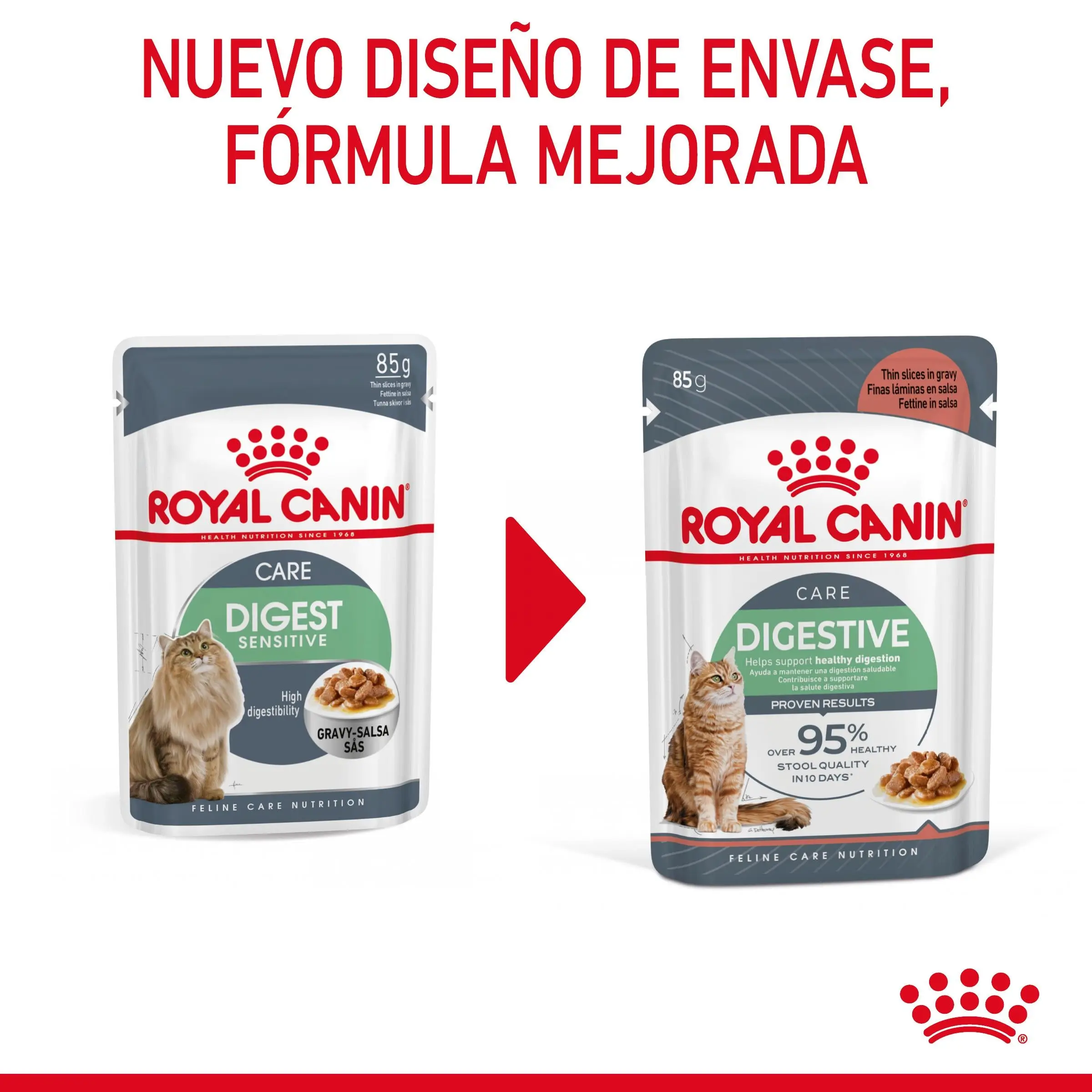 Royal Canin Digestive Care Finas Láminas en Salsa 85 g Húmedo para Gatos - Image 2