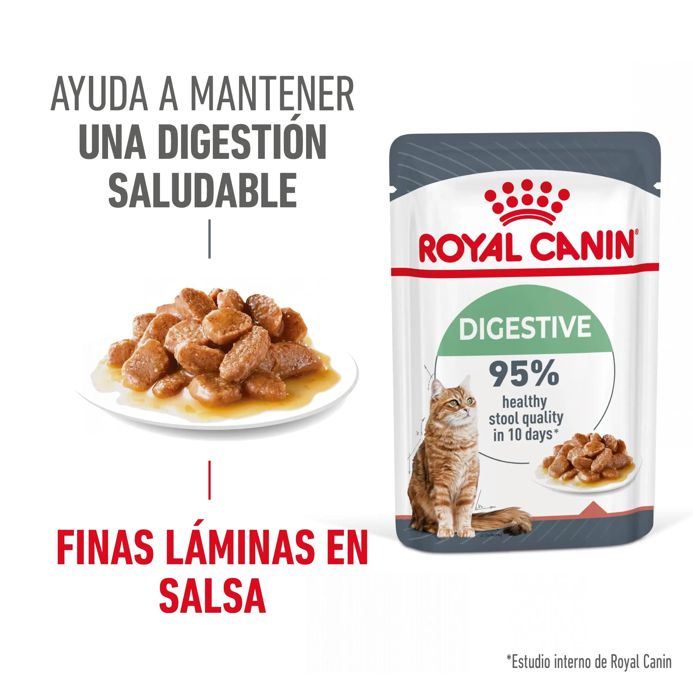 Royal Canin Digestive Care Finas Láminas en Salsa 85 g Húmedo para Gatos - Image 3
