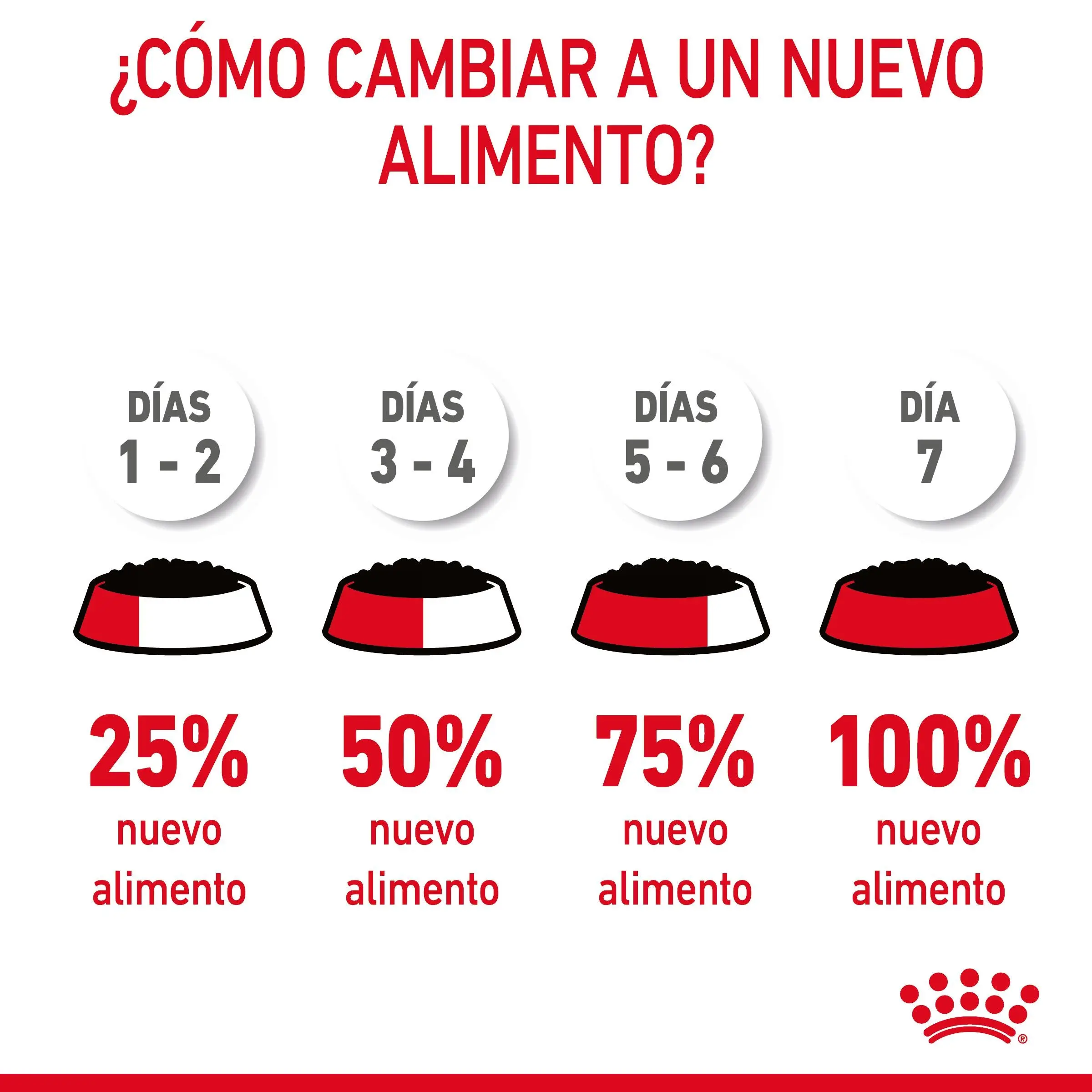 Royal Canin Digestive Care Finas Láminas en Salsa 85 g Húmedo para Gatos - Image 5