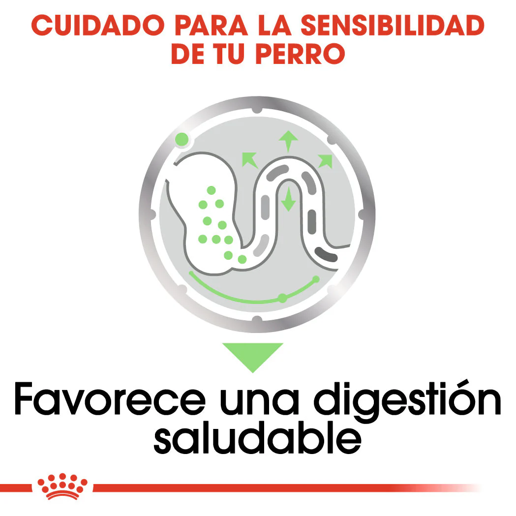 Royal Canin Digestive Care Paté 85 g Comida Húmeda para Perros - Image 4