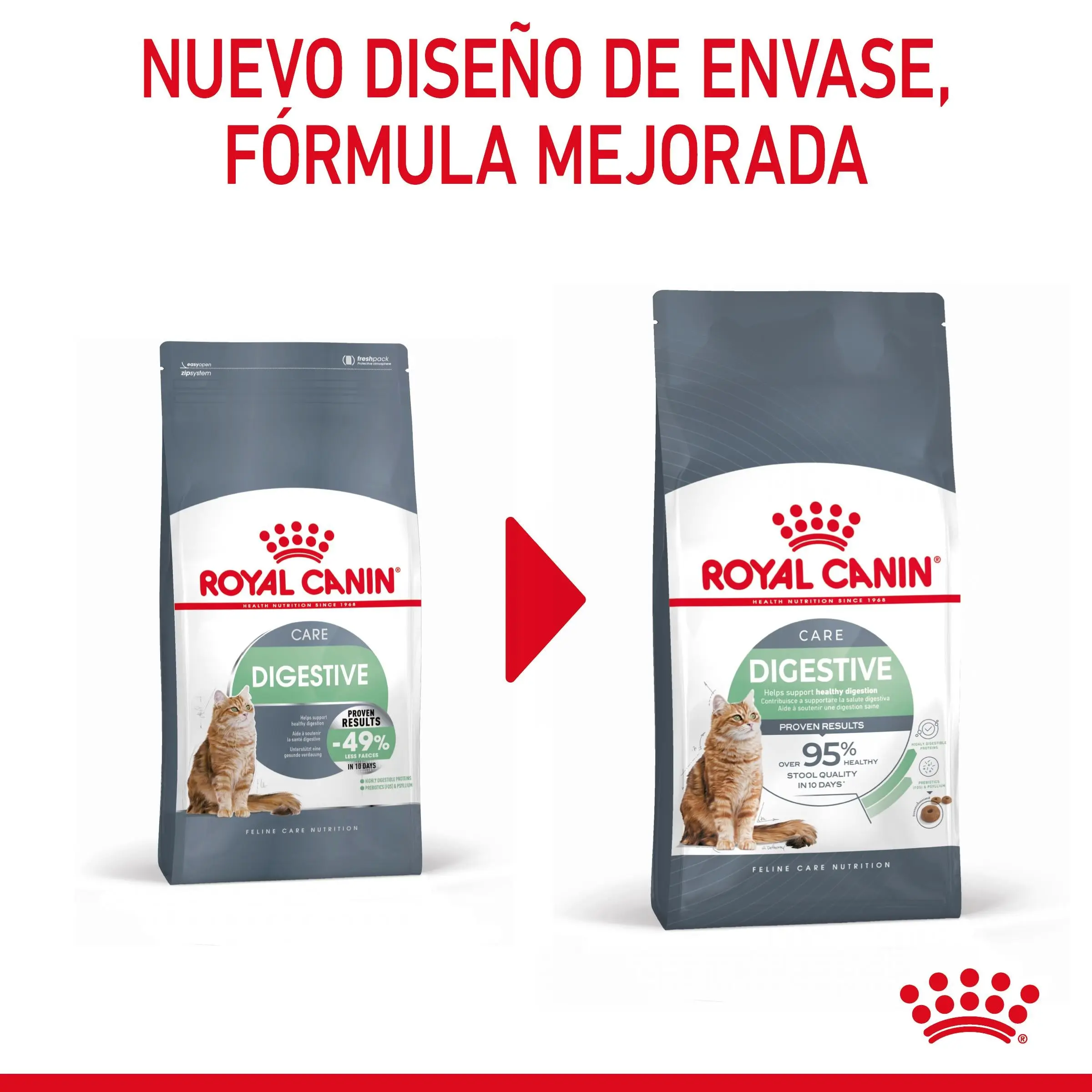 Royal Canin Digestive Care Pienso para Gatos - Image 2