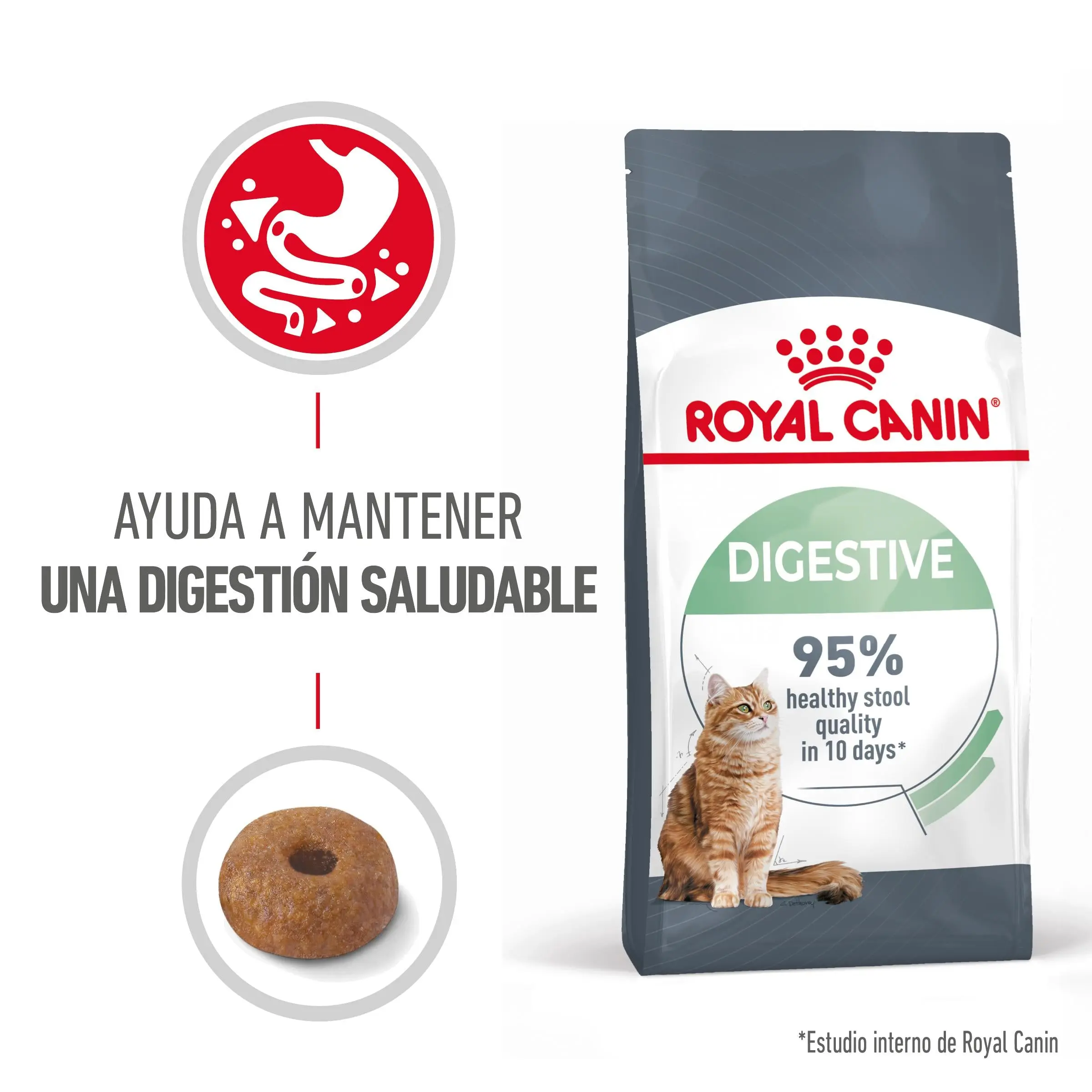 Royal Canin Digestive Care Pienso para Gatos - Image 3