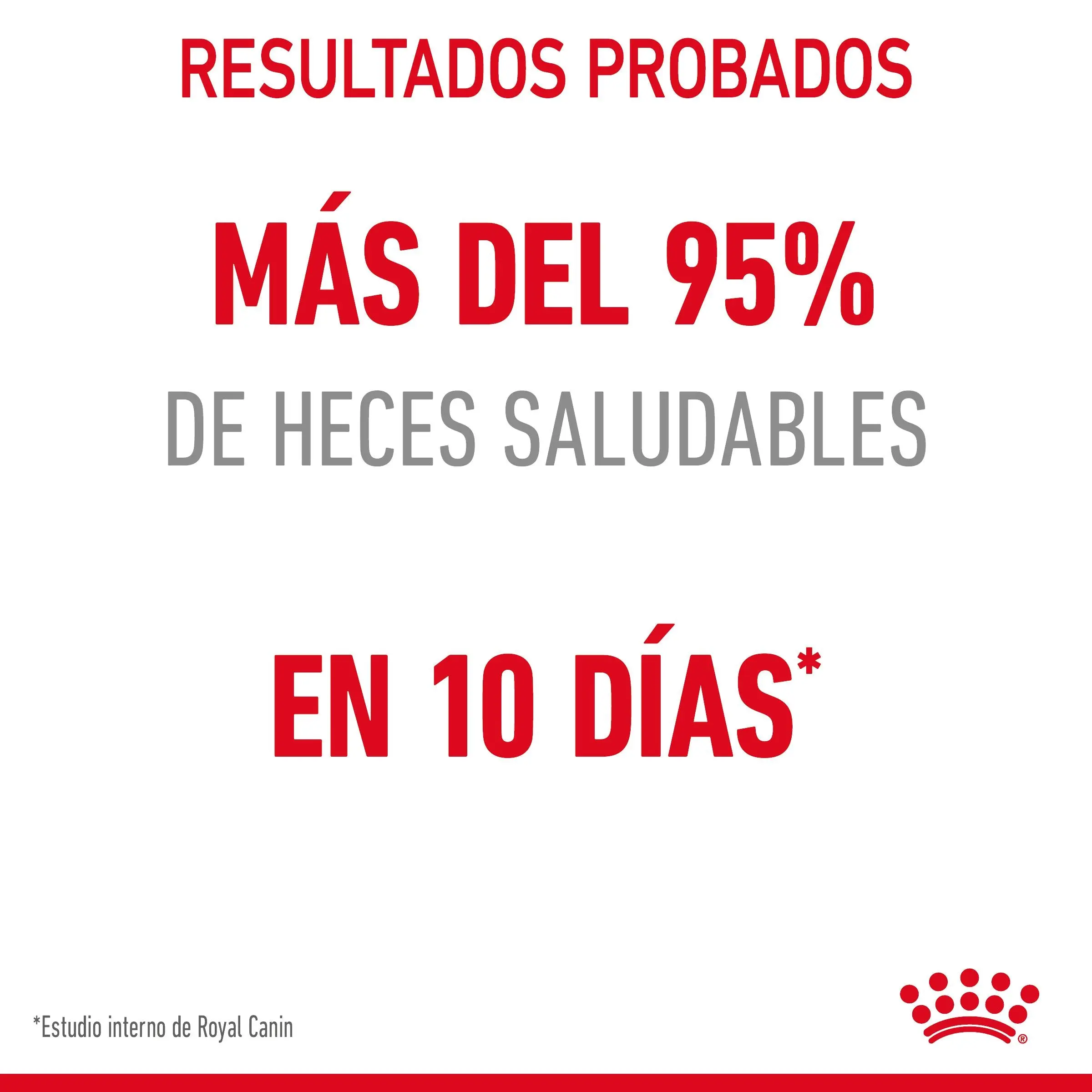 Royal Canin Digestive Care Pienso para Gatos - Image 4
