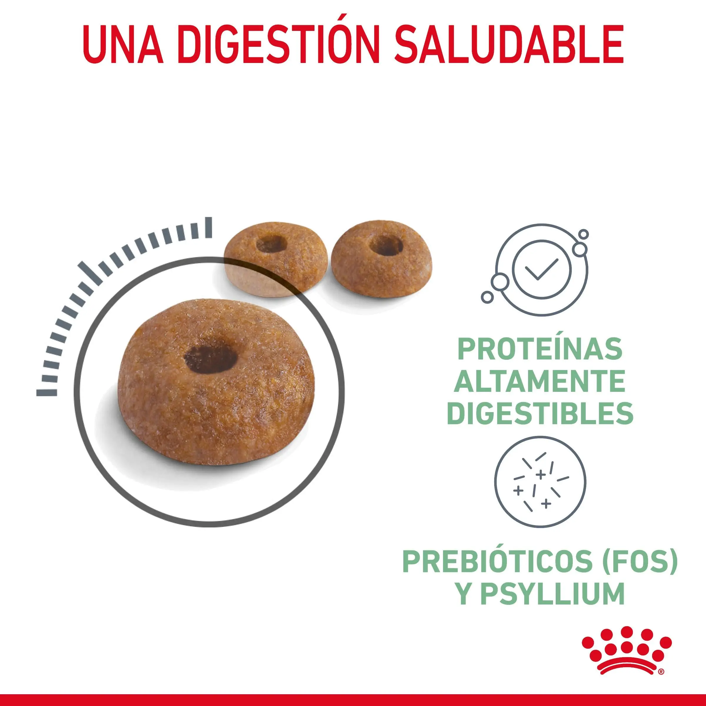 Royal Canin Digestive Care Pienso para Gatos - Image 6