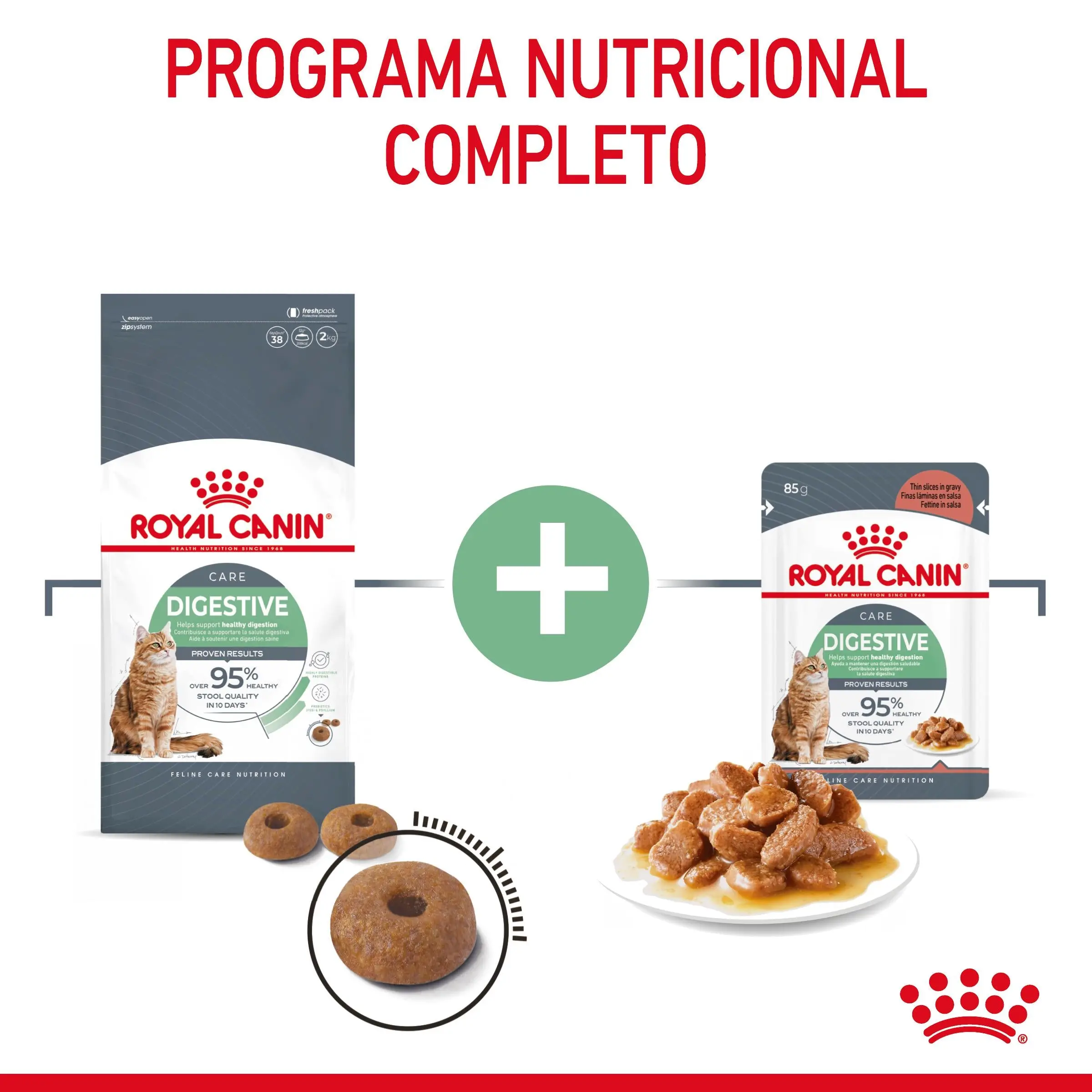 Royal Canin Digestive Care Pienso para Gatos - Image 7