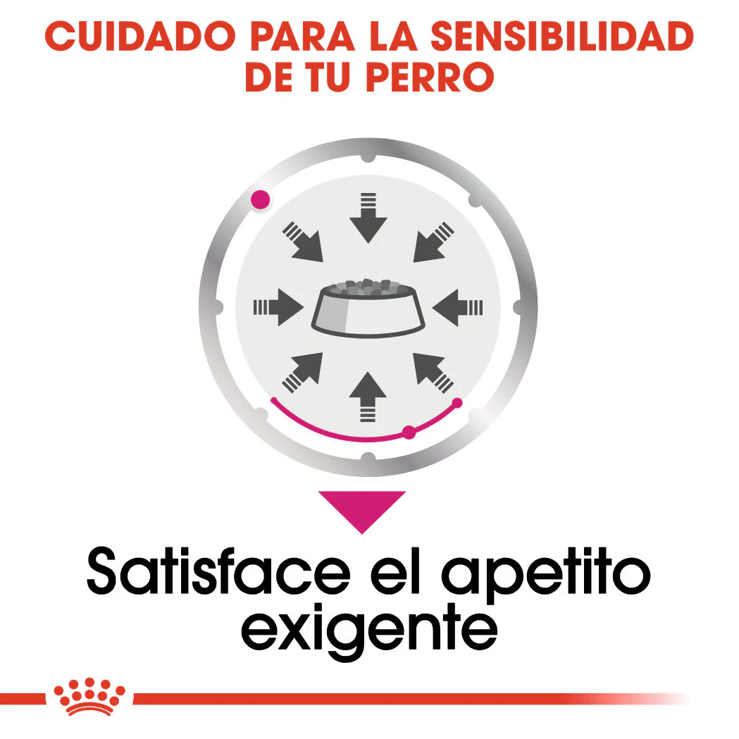 Royal Canin Exigent Care Paté 85 g Alimento Húmedo para Perros - Image 2