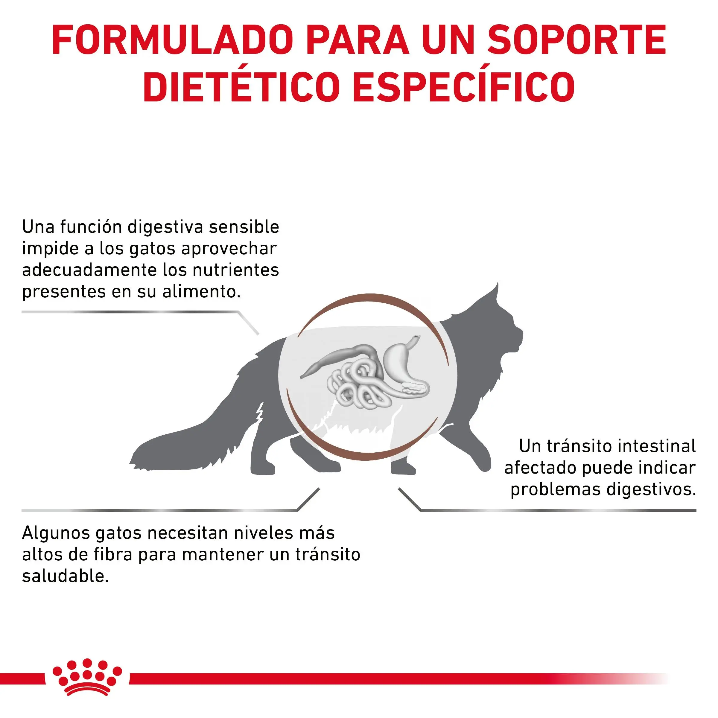 Royal Canin Veterinary Fibre Response Pienso Gastrointestinal para Gatos - Image 5