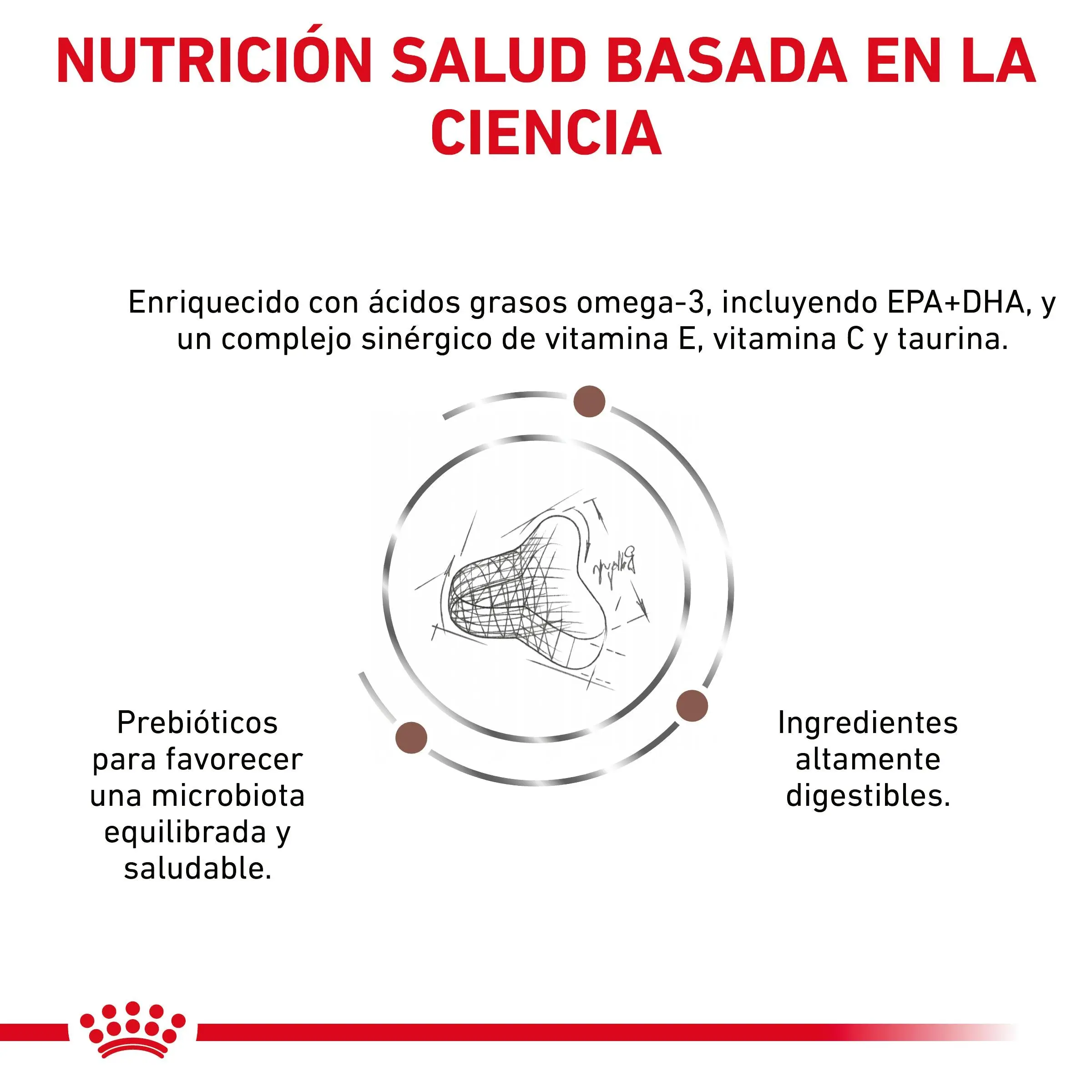 Royal Canin Veterinary Fibre Response Pienso Gastrointestinal para Gatos - Image 6