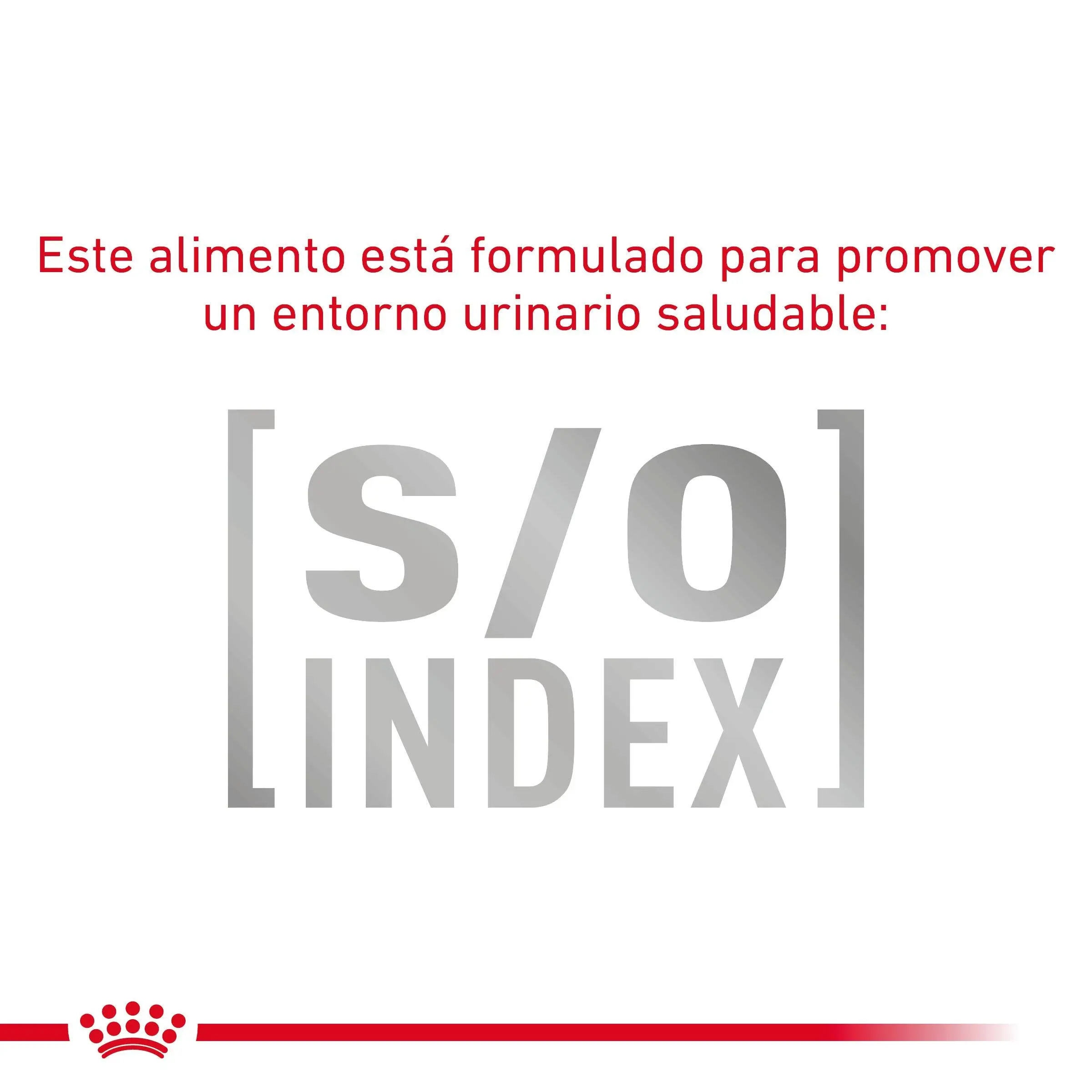Royal Canin Veterinary Fibre Response Pienso Gastrointestinal para Gatos - Image 7