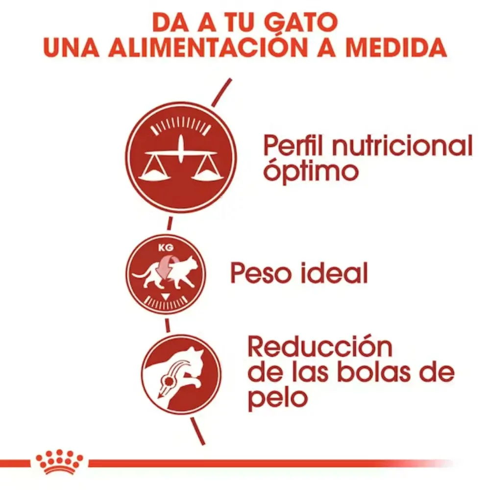 Royal Canin Fit 32 Pienso Seco para Gatos Adultos - Image 3