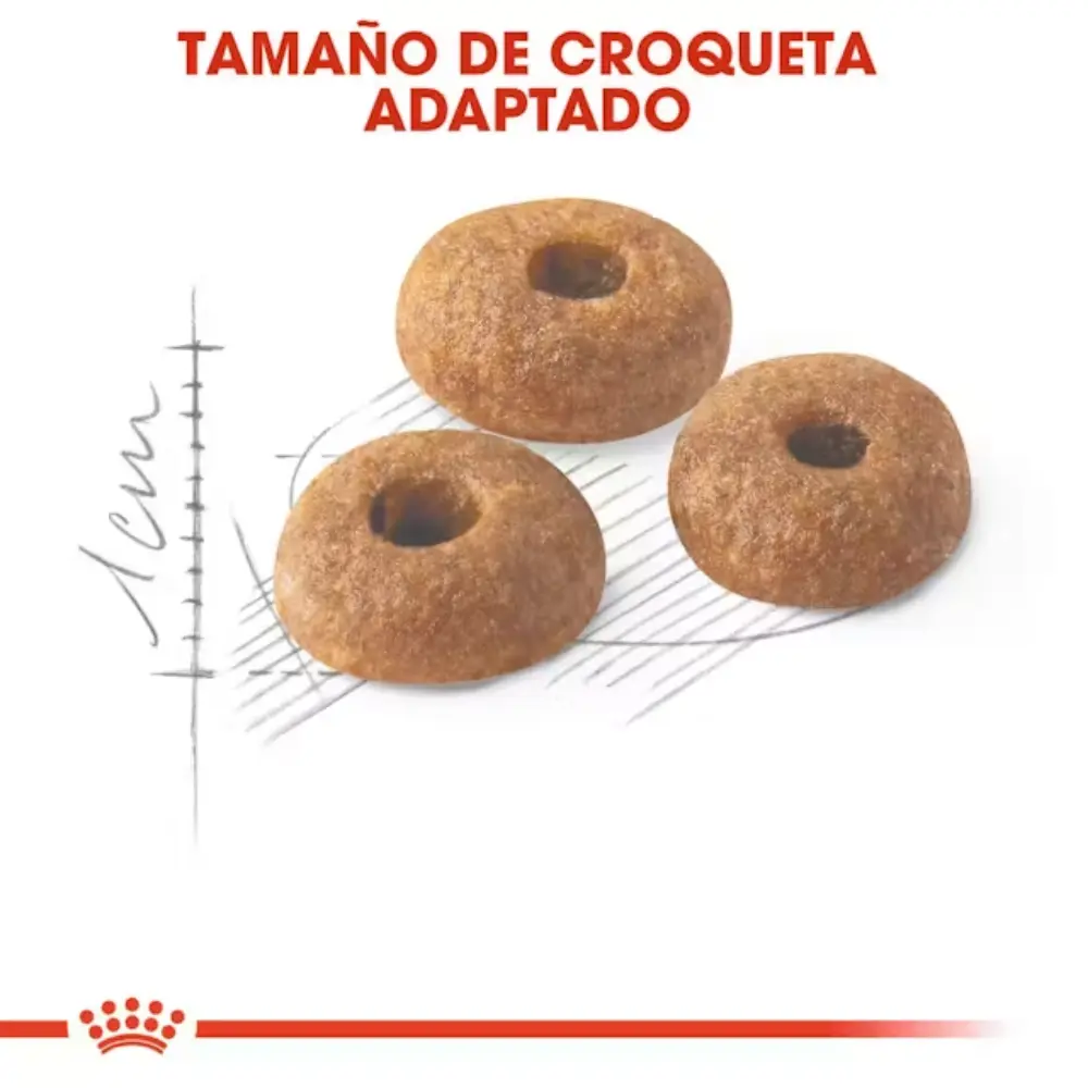Royal Canin Fit 32 Pienso Seco para Gatos Adultos - Image 4