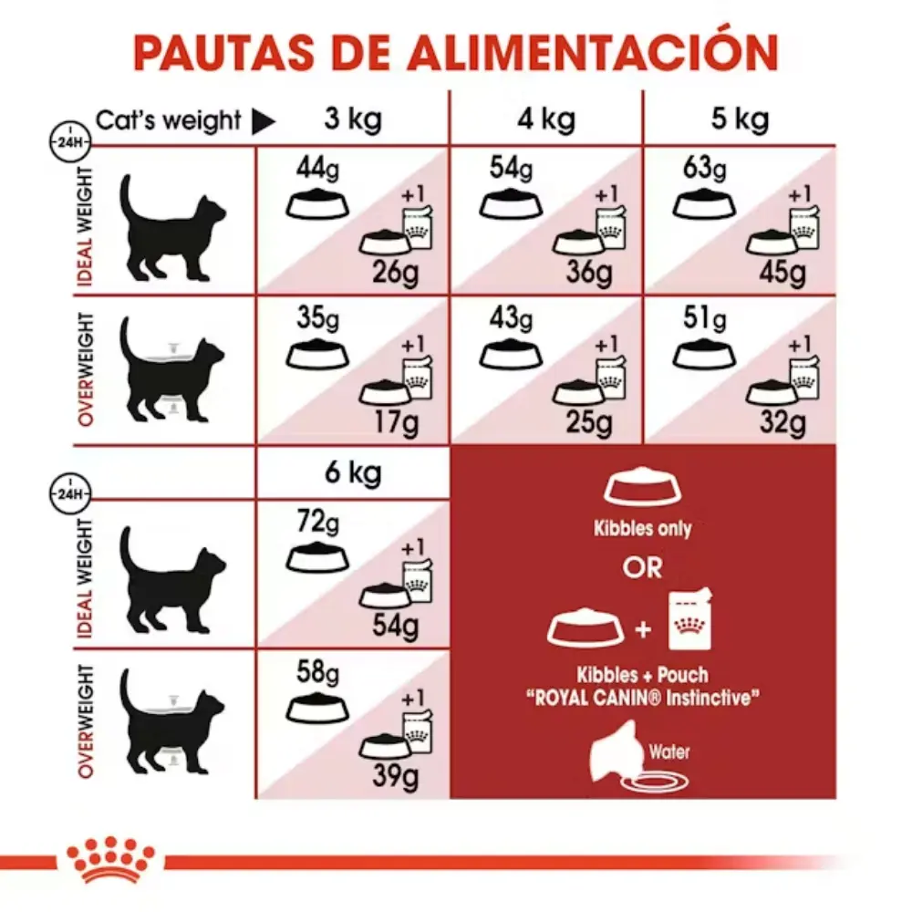 Royal Canin Fit 32 Pienso Seco para Gatos Adultos - Image 6