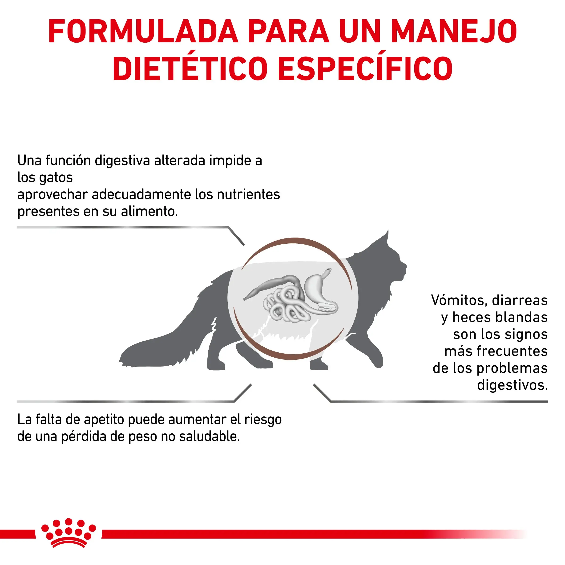Royal Canin Veterinary Gastrointestinal Pienso para Gatos - Image 3