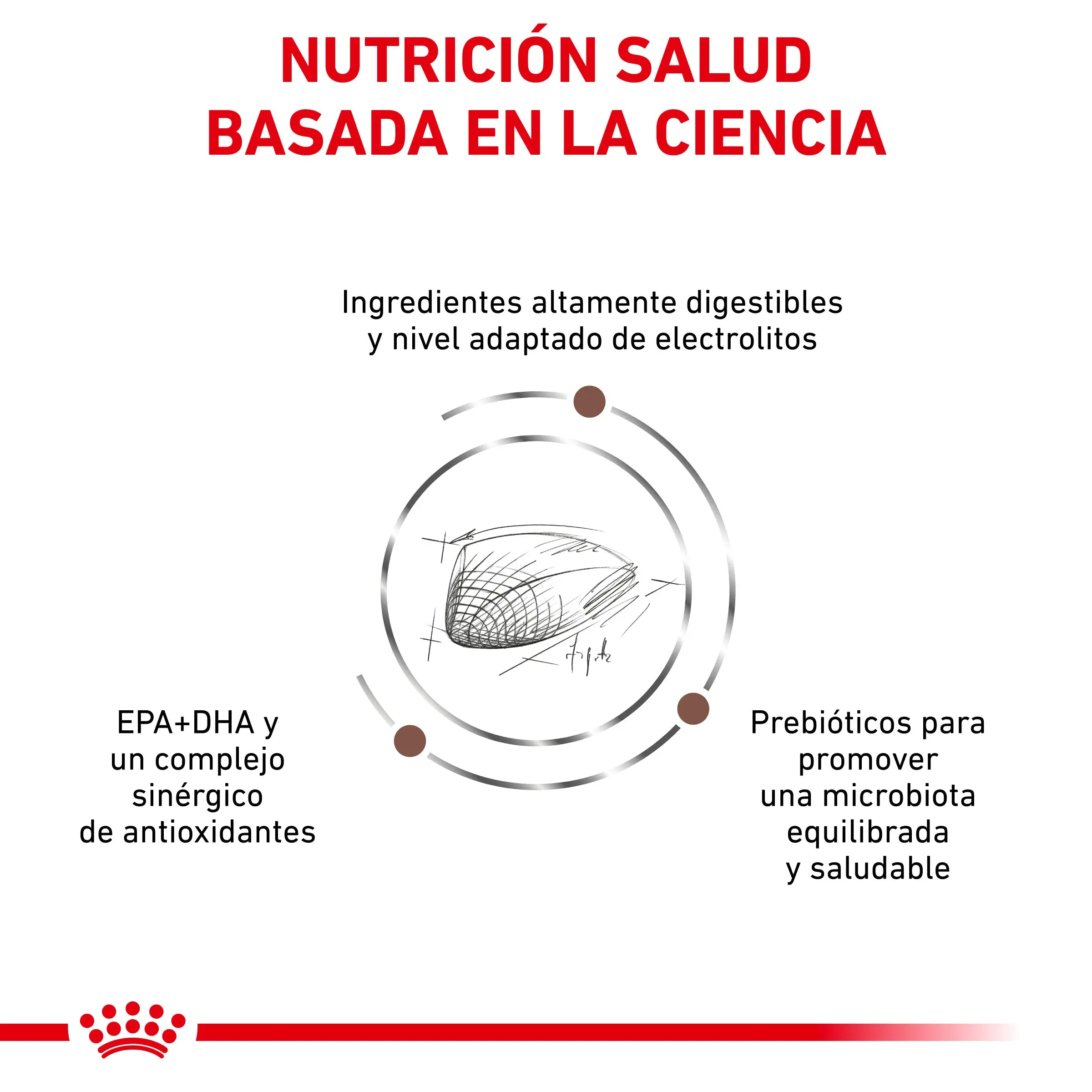 Royal Canin Veterinary Gastrointestinal Pienso para Gatos - Image 4