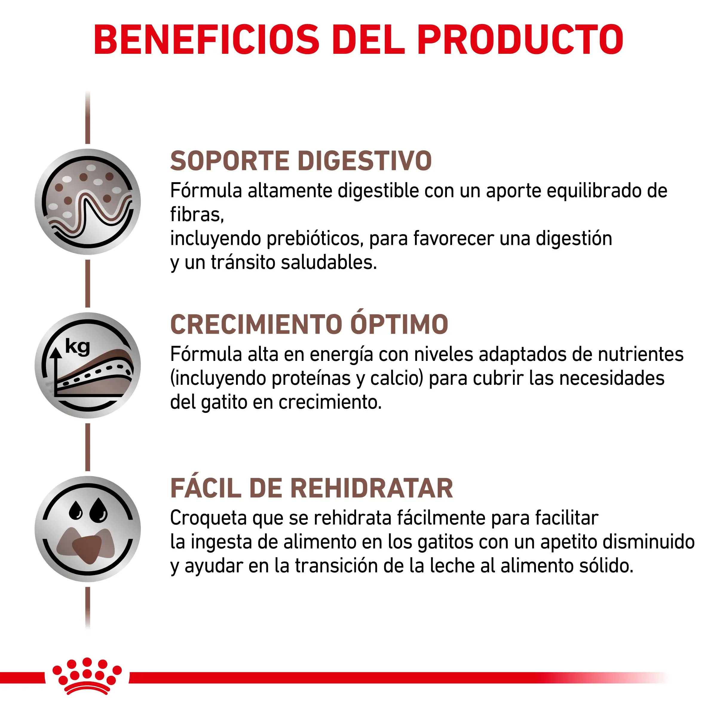 Royal Canin Veterinary Gastrointestinal Kitten Pienso Digestivo para Gatitos - Image 4