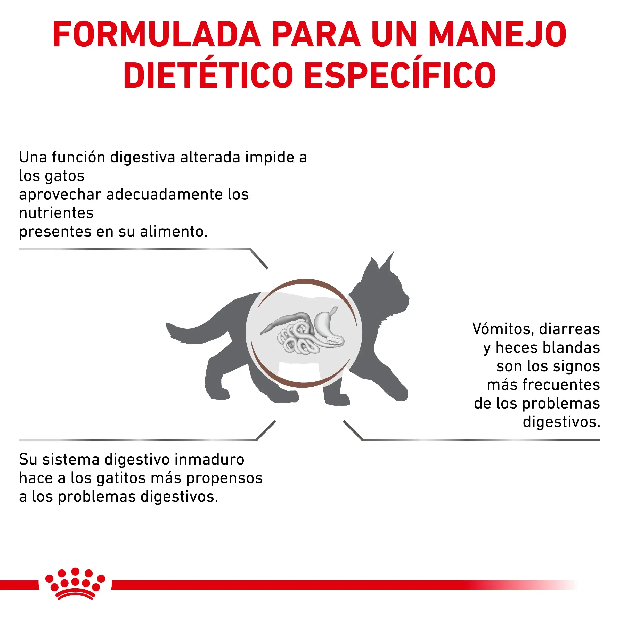Royal Canin Veterinary Gastrointestinal Kitten Pienso Digestivo para Gatitos - Image 5