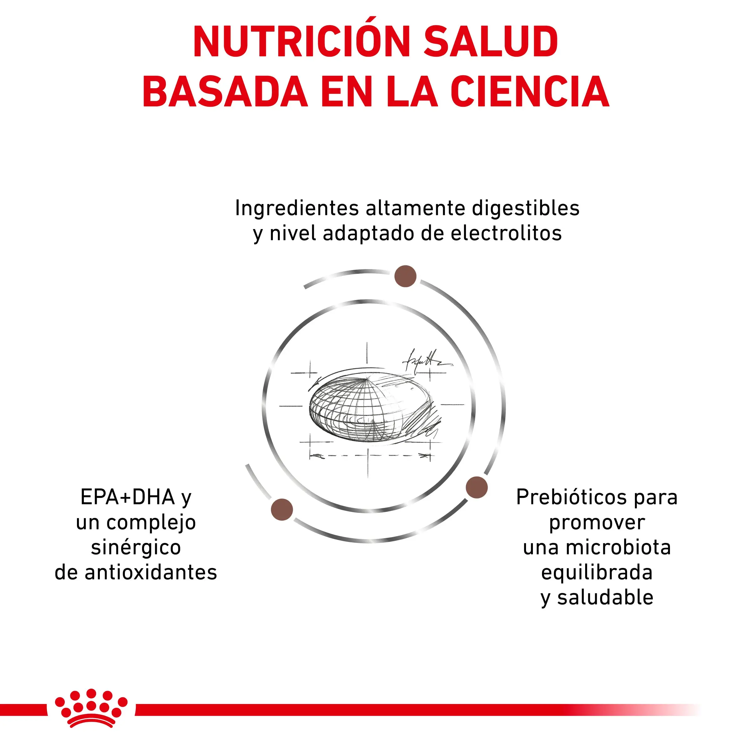 Royal Canin Veterinary Gastroinstestinal Moderate Calorie Pienso para Gatos - Image 2