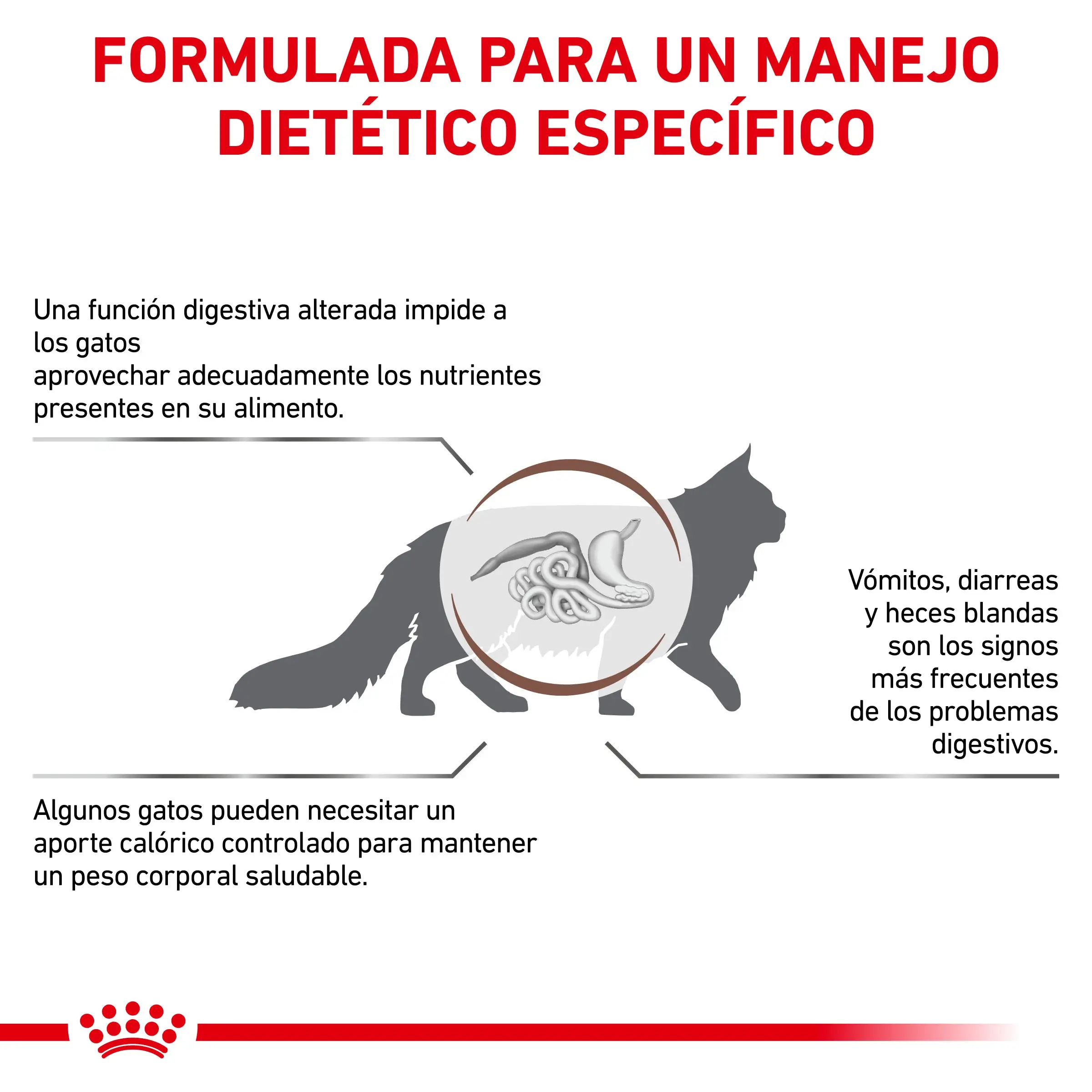Royal Canin Veterinary Gastroinstestinal Moderate Calorie Pienso para Gatos - Image 4