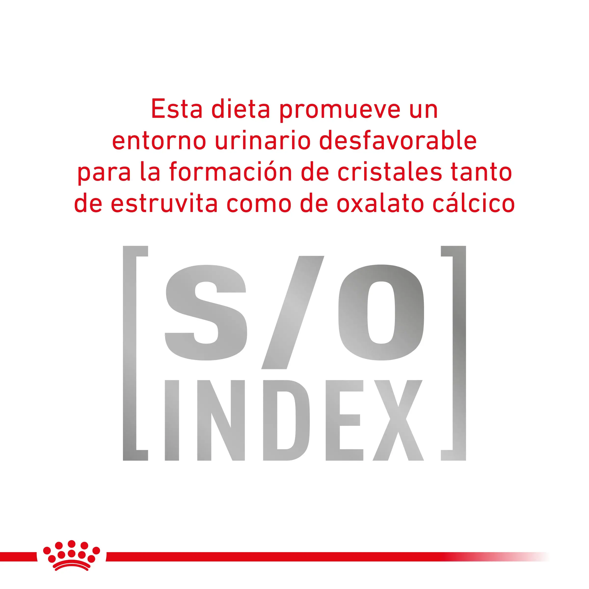 Royal Canin Veterinary Gastroinstestinal Moderate Calorie Pienso para Gatos - Image 6