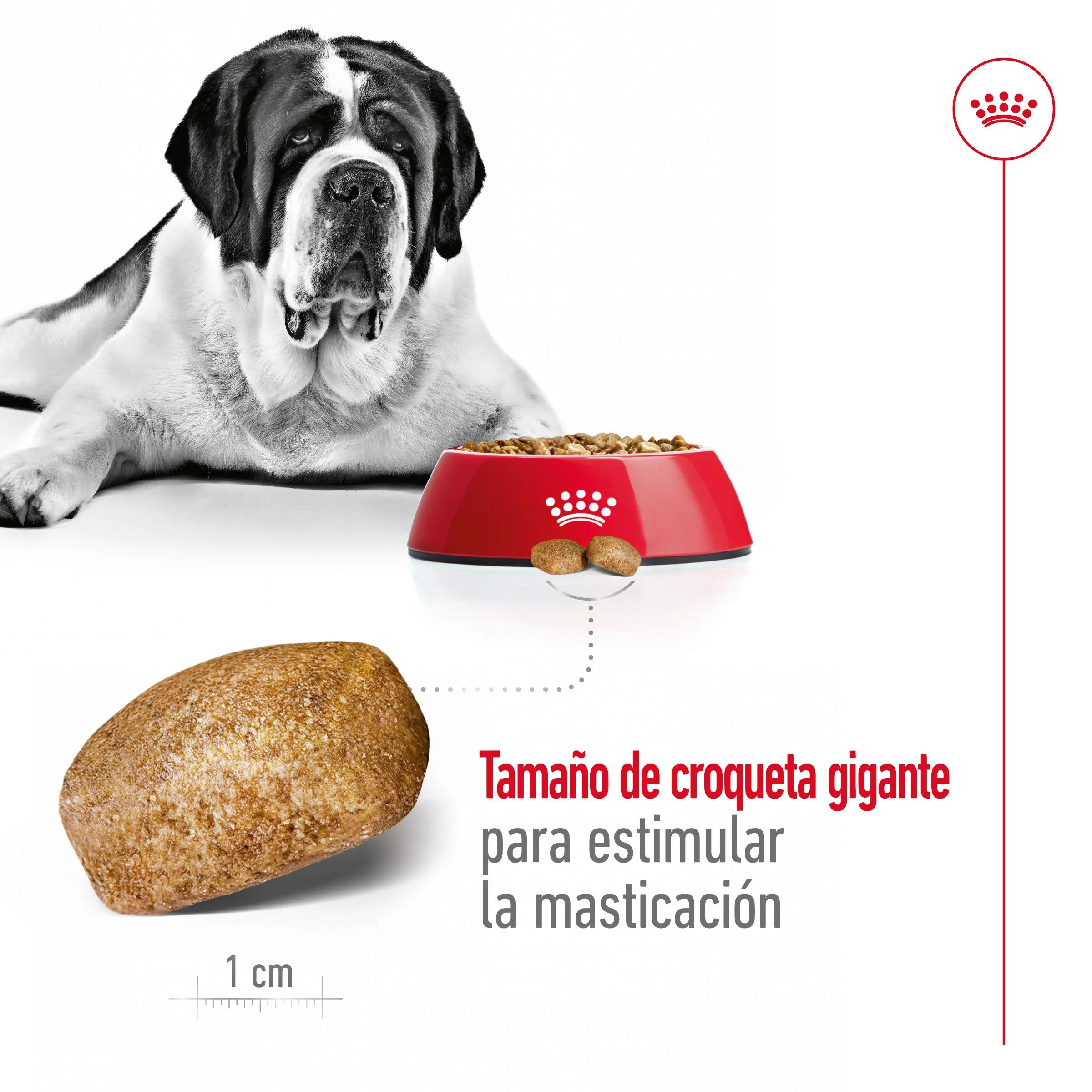 Royal Canin Giant Adult 15 kg Pienso para Perros - Image 4