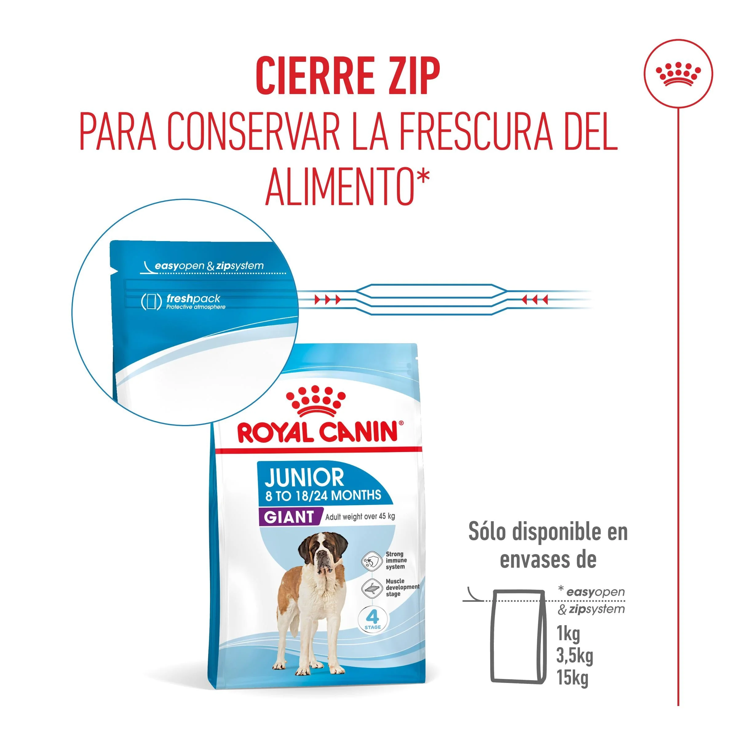 Royal Canin Giant Junior Pienso para Cachorros de Raza Grande - Image 3