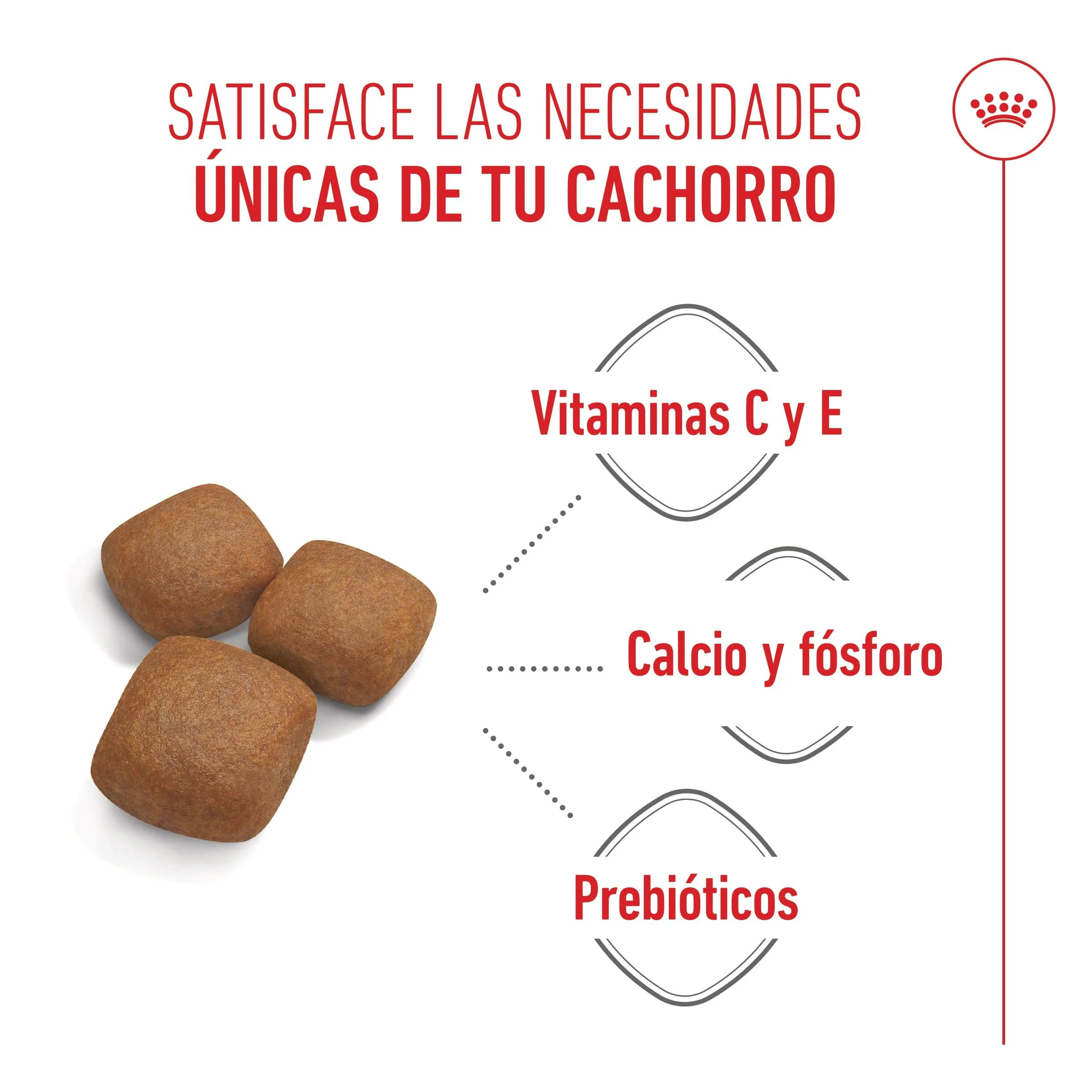 Royal Canin Giant Junior Pienso para Cachorros de Raza Grande - Image 4