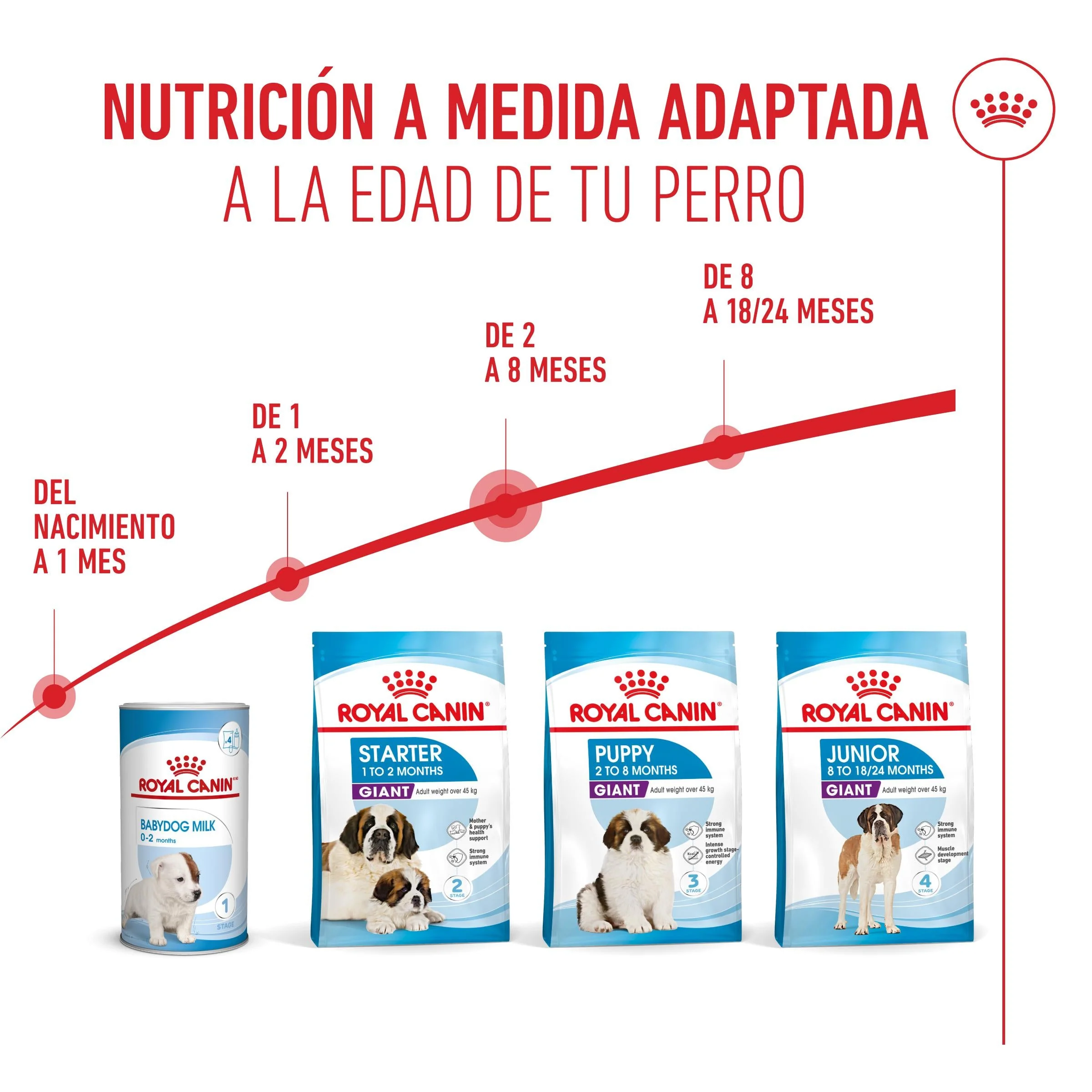 Royal Canin Giant Puppy Pienso para Cachorros de Raza Grande - Image 3
