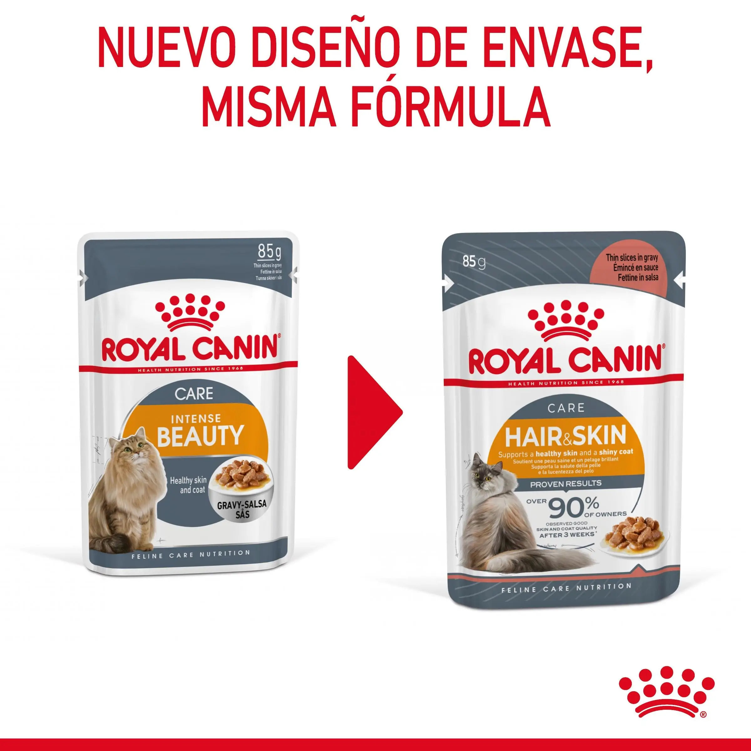 Royal Canin Hair & Skin Care Finas Láminas en Salsa 85 g Húmedo para Gatos - Image 2