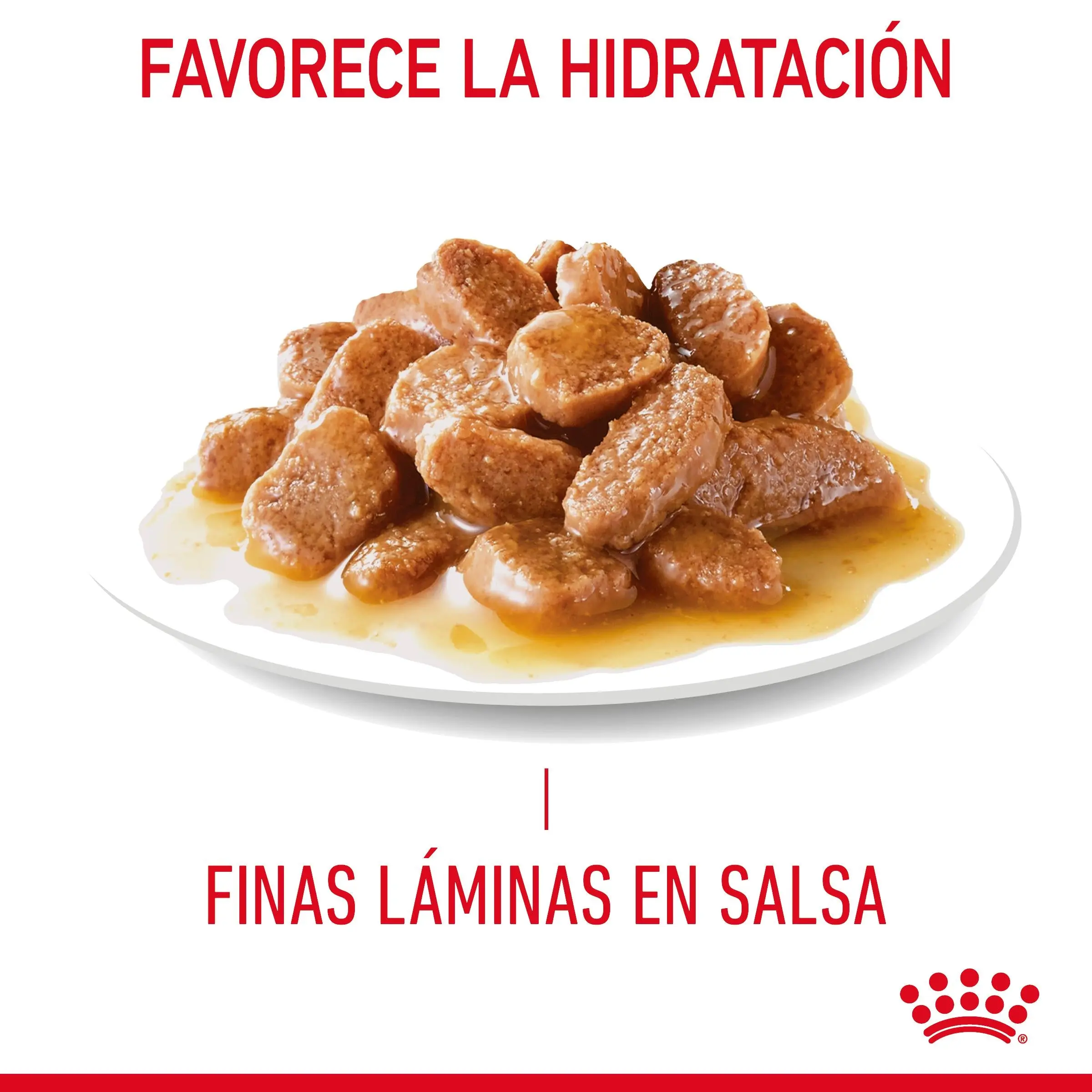 Royal Canin Hair & Skin Care Finas Láminas en Salsa 85 g Húmedo para Gatos - Image 4