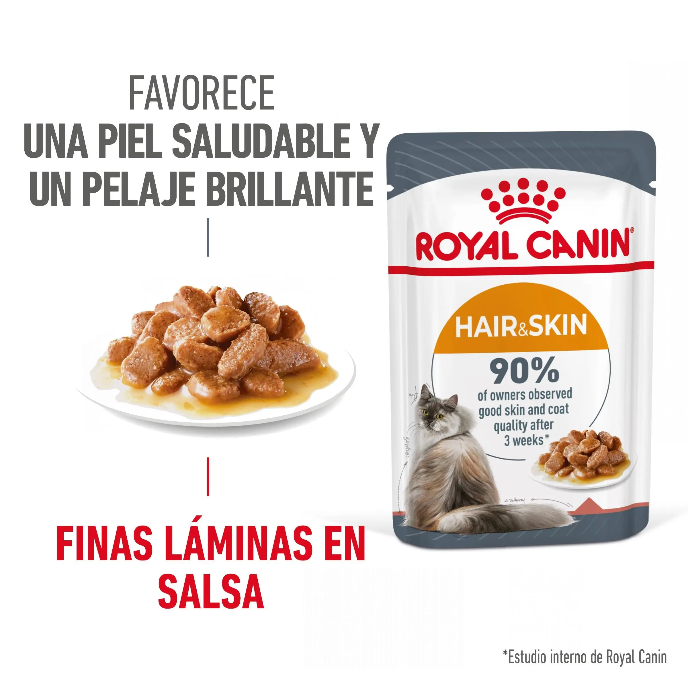 Royal Canin Hair & Skin Care Finas Láminas en Salsa 85 g Húmedo para Gatos - Image 9