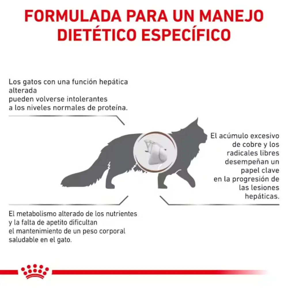 Royal Canin Veterinary Hepatic Pienso para Gatos - Image 4