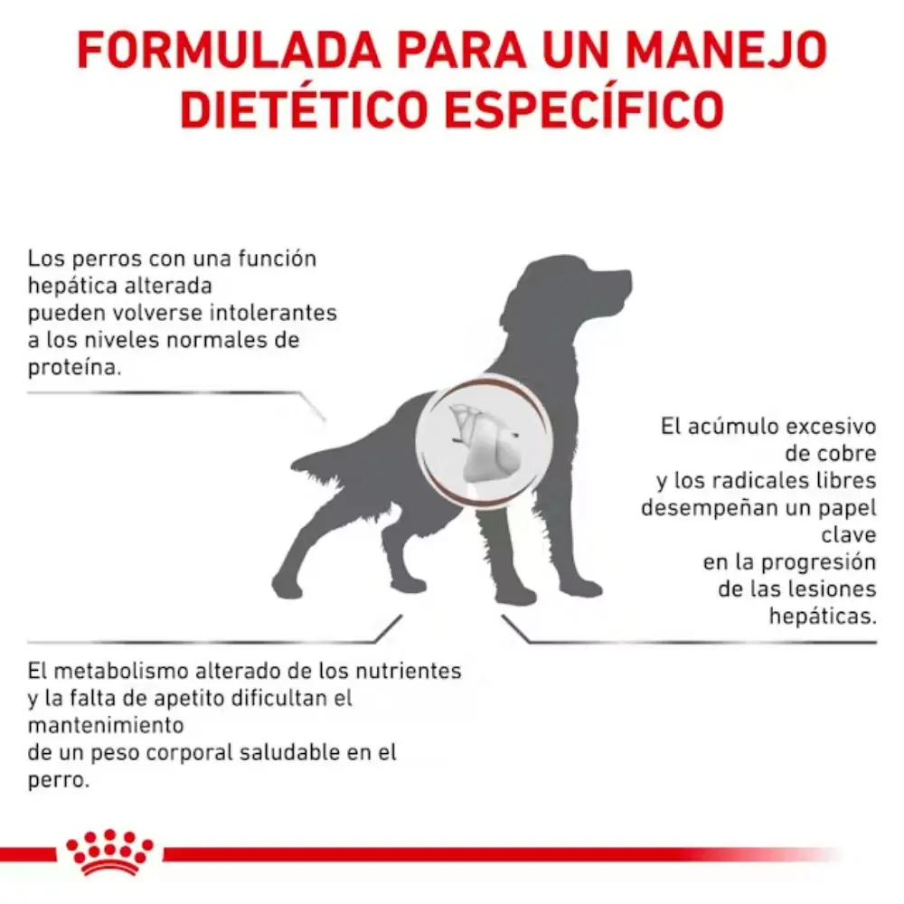 Royal Canin Hepatic Hf16 - Image 4