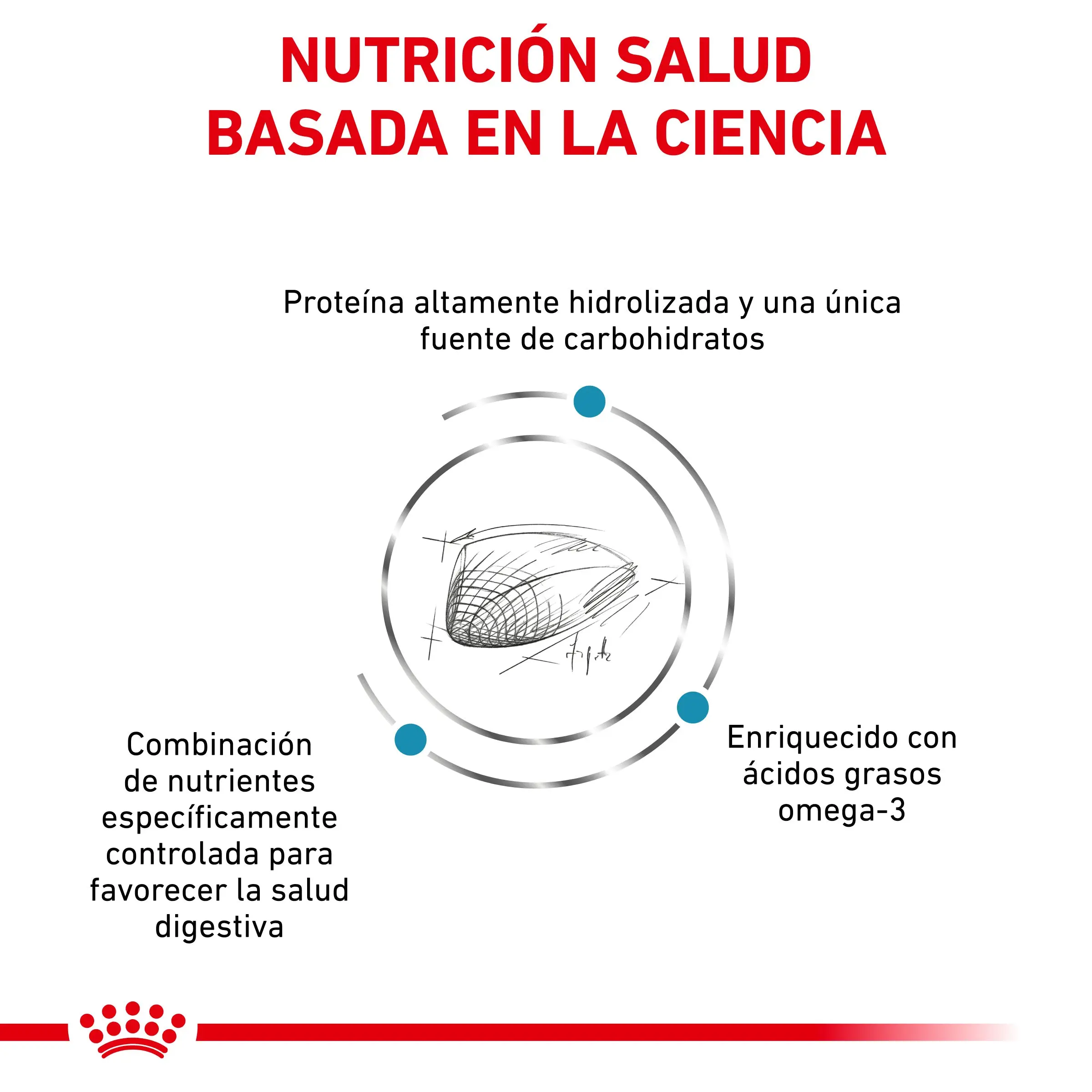 Royal Canin Veterinary Hypoallergenic Pienso para Gatos - Image 3
