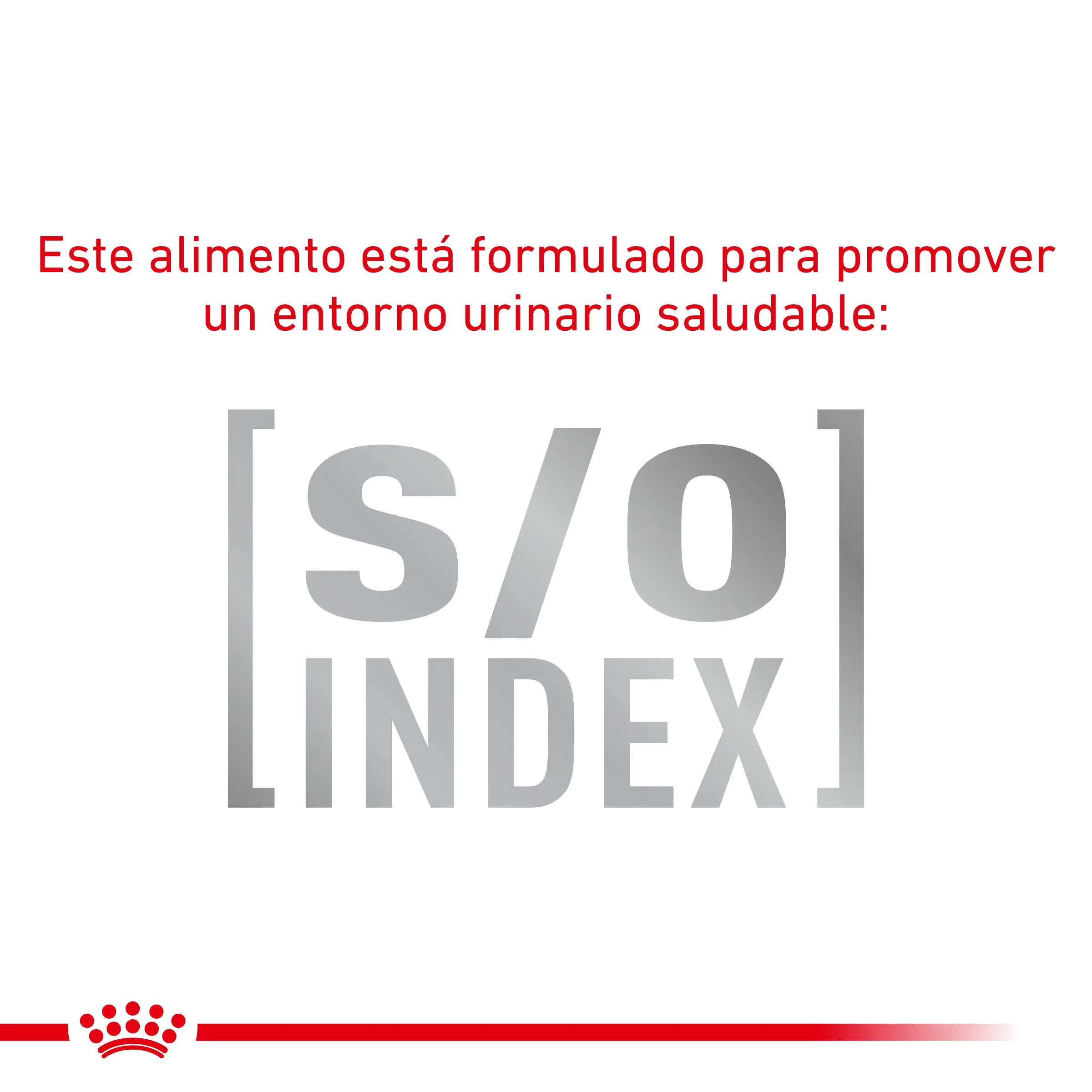 Royal Canin Veterinary Hypoallergenic Pienso para Gatos - Image 5