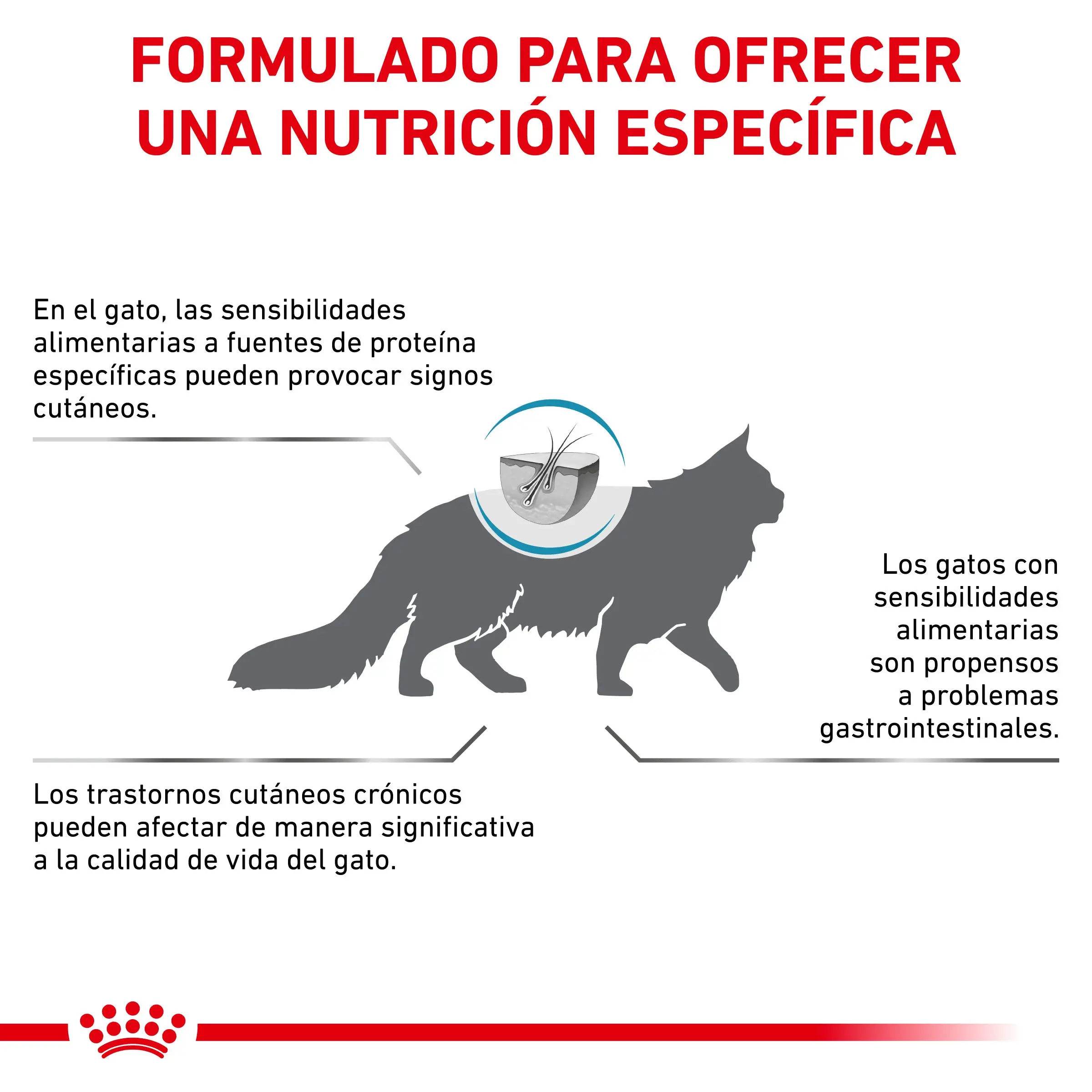 Royal Canin Veterinary Hypoallergenic Pienso para Gatos - Image 9