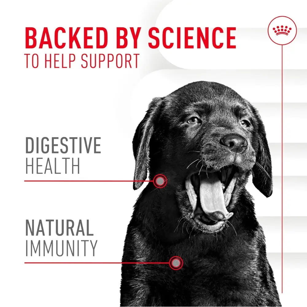 Royal Canin Immune & Digestion Support Chews Puppy 100 g Snack para Cachorros - Image 3