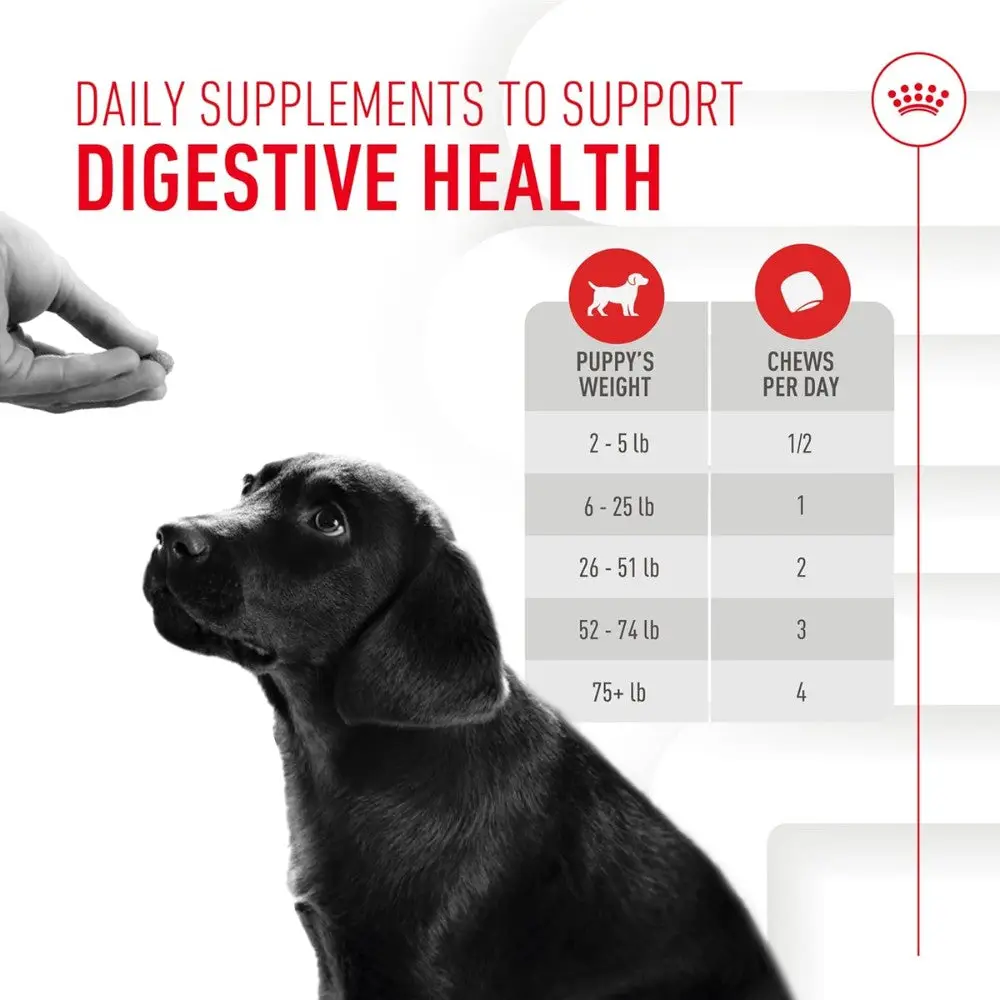 Royal Canin Immune & Digestion Support Chews Puppy 100 g Snack para Cachorros - Image 5