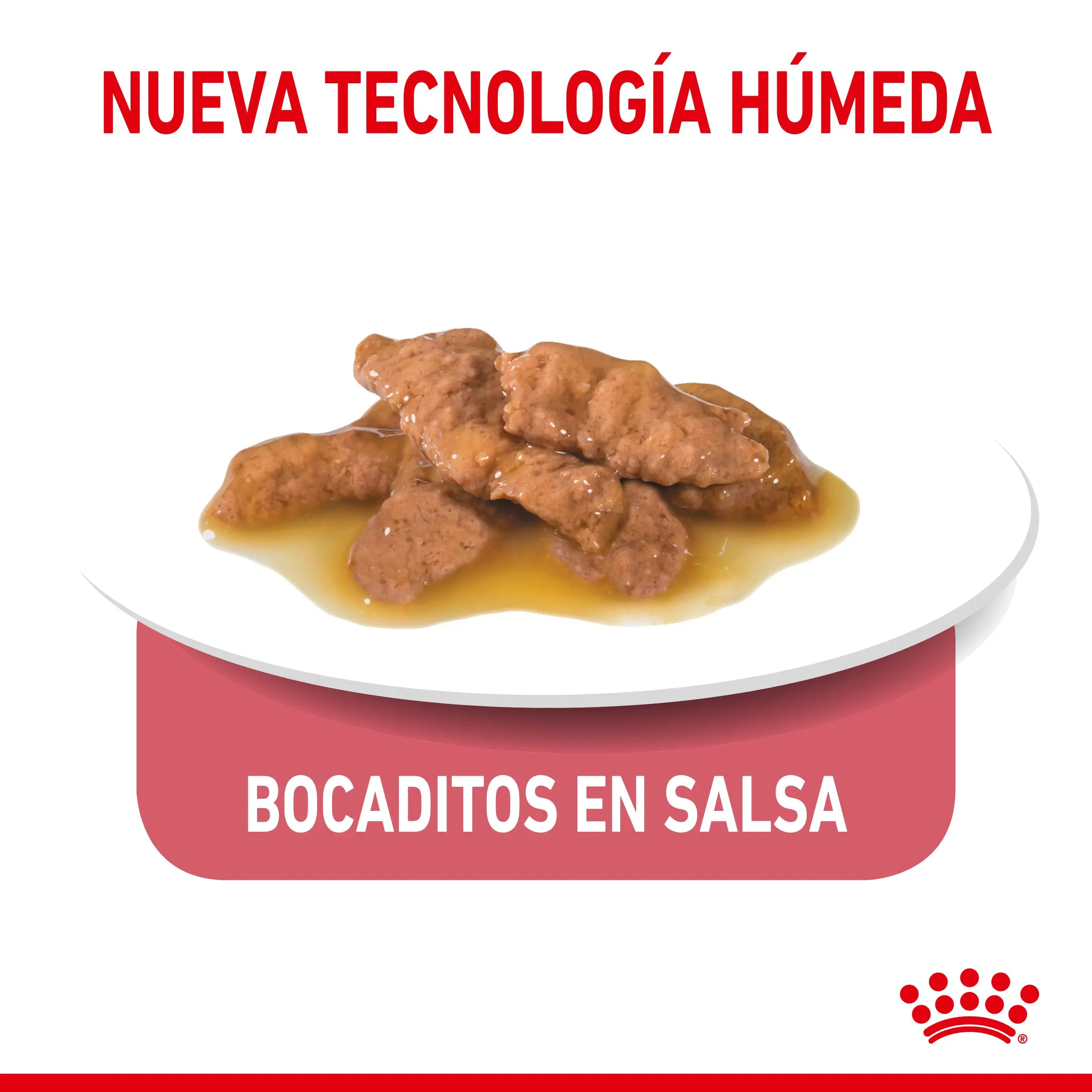 Royal Canin Indoor Sterilized 85 g Comida Húmeda en Salsa para Gatos - Image 3
