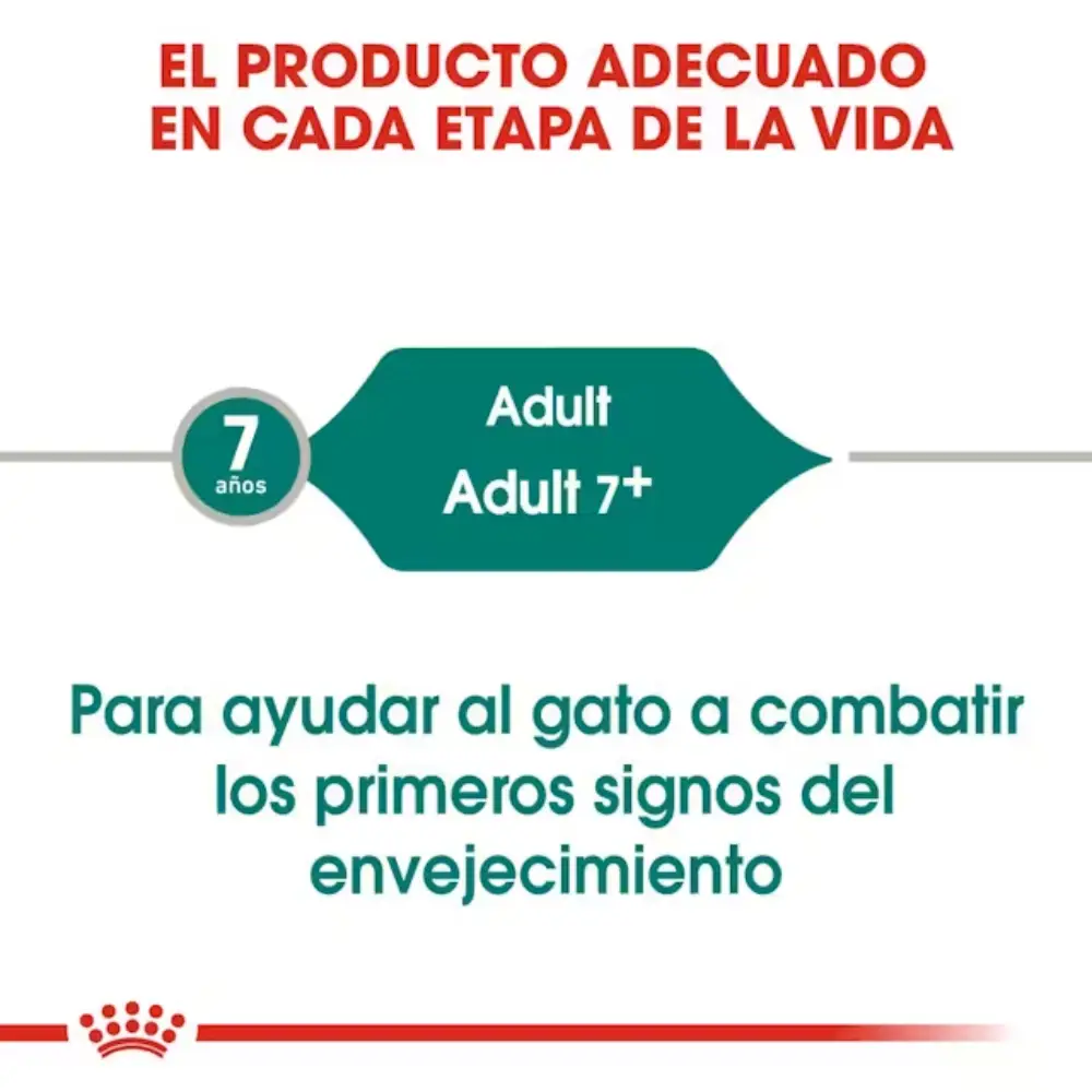 Royal Canin Instinctive 7+ en Salsa 85 g Comida Húmeda para Gatos - Image 5