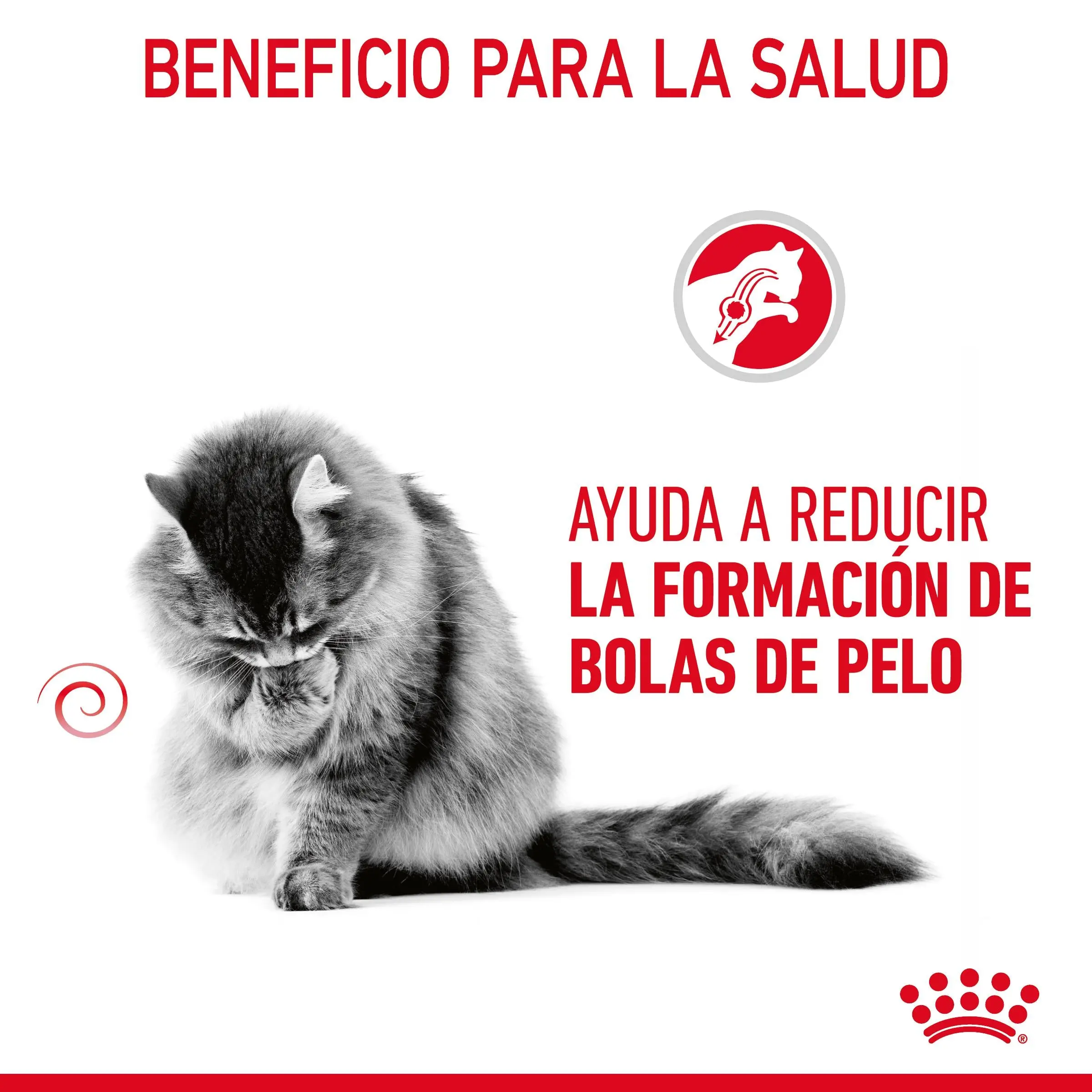 Royal Canin Hairball Care Pienso para Gatos Anti Bolas de Pelo - Image 10