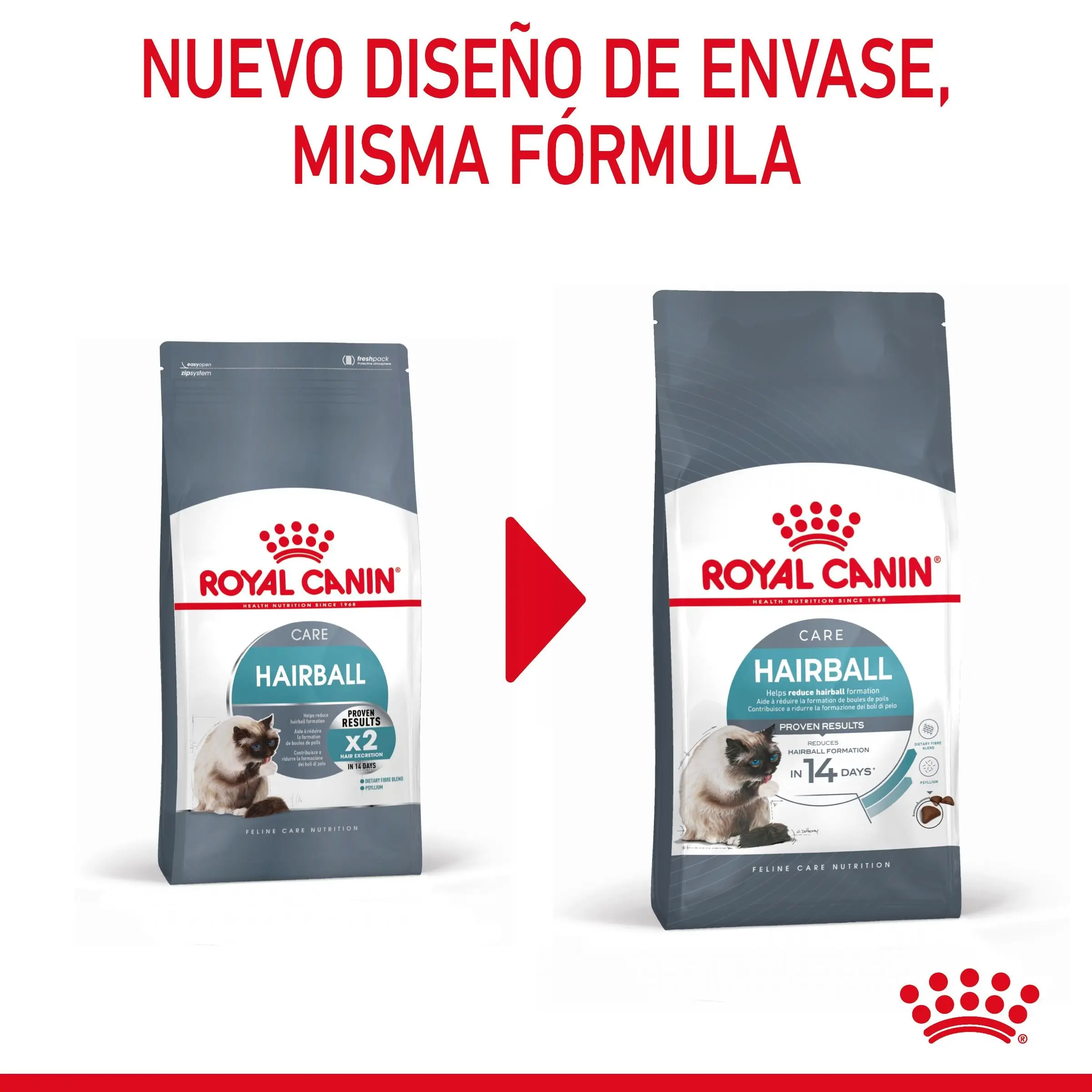Royal Canin Hairball Care Pienso para Gatos Anti Bolas de Pelo - Image 2