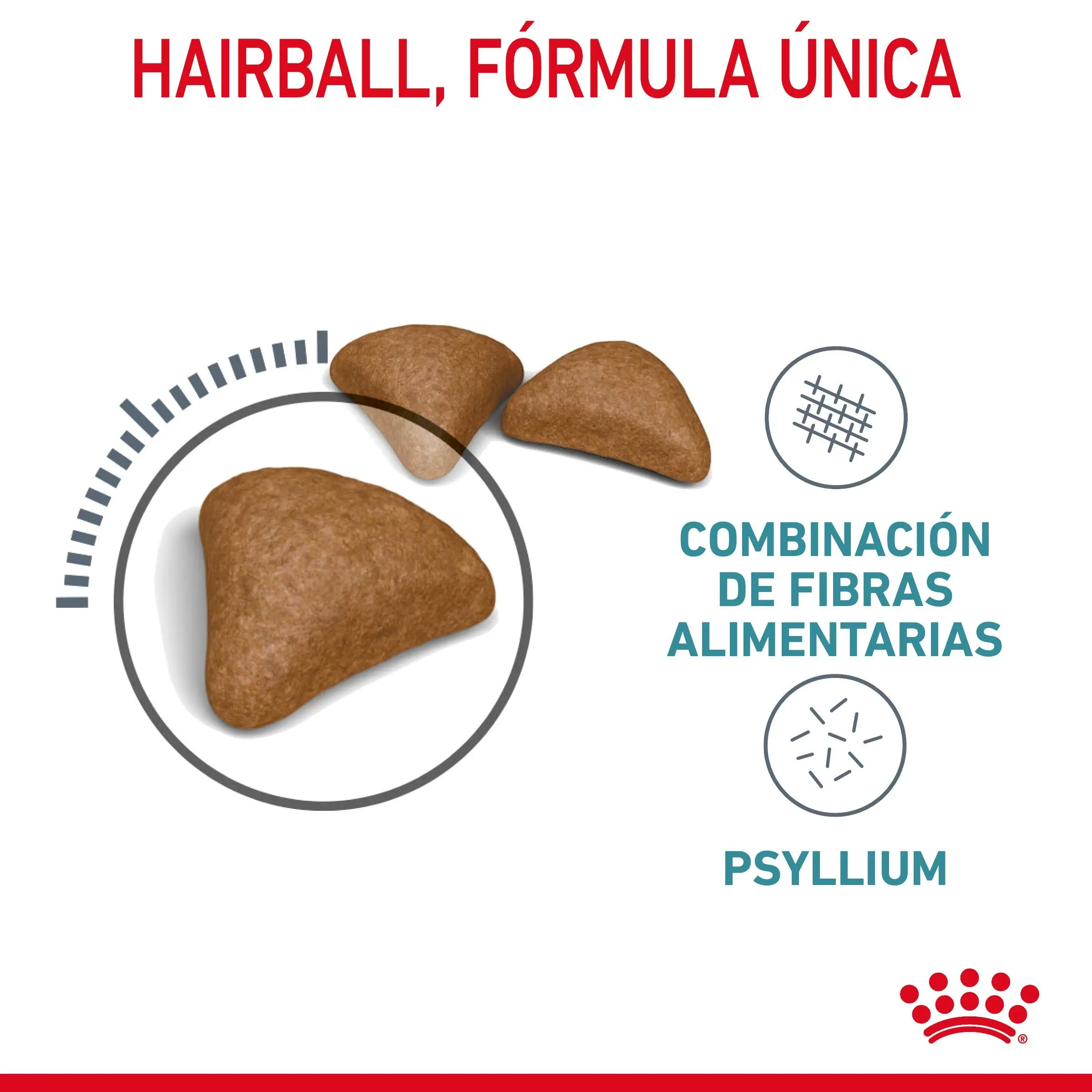 Royal Canin Hairball Care Pienso para Gatos Anti Bolas de Pelo - Image 5