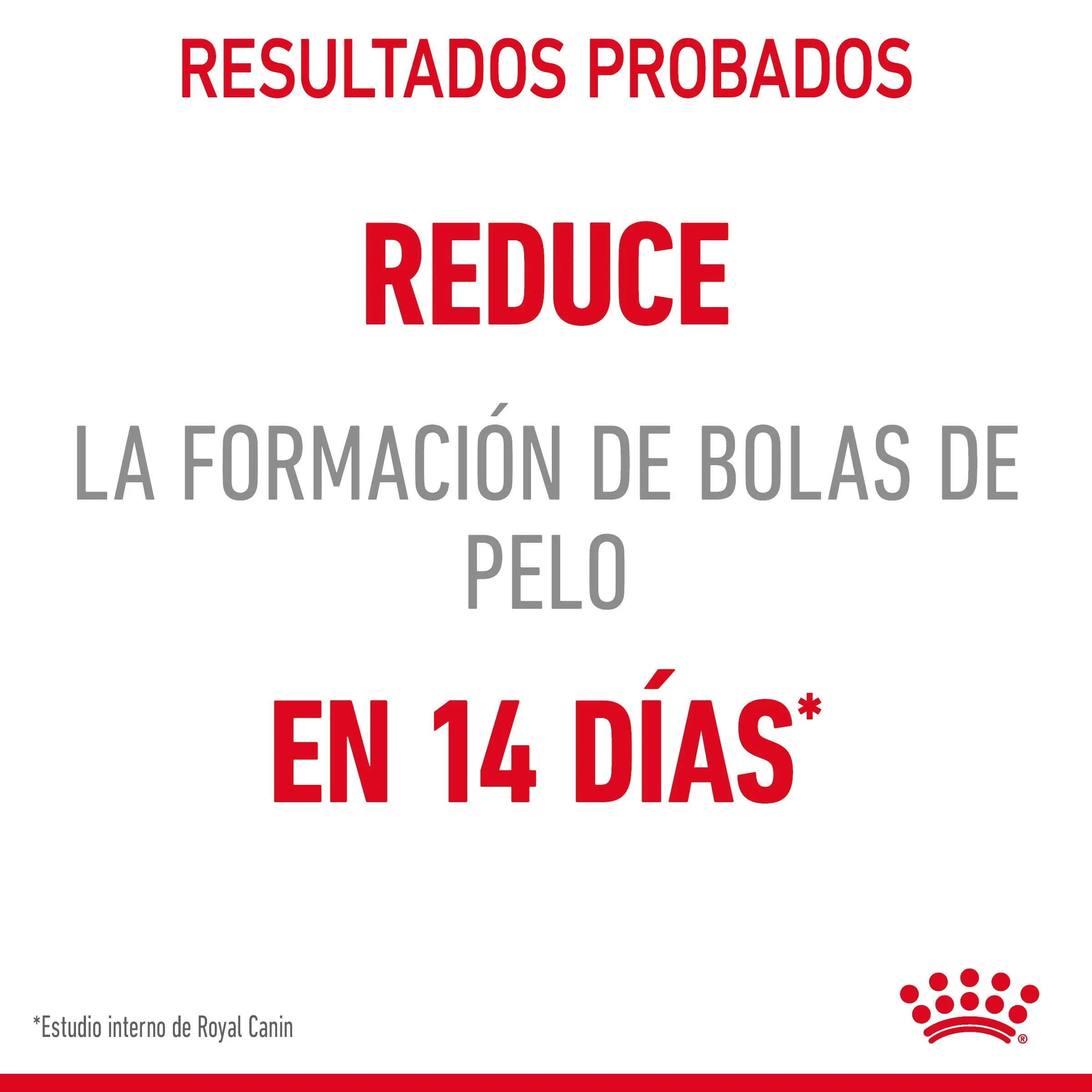 Royal Canin Hairball Care Pienso para Gatos Anti Bolas de Pelo - Image 9