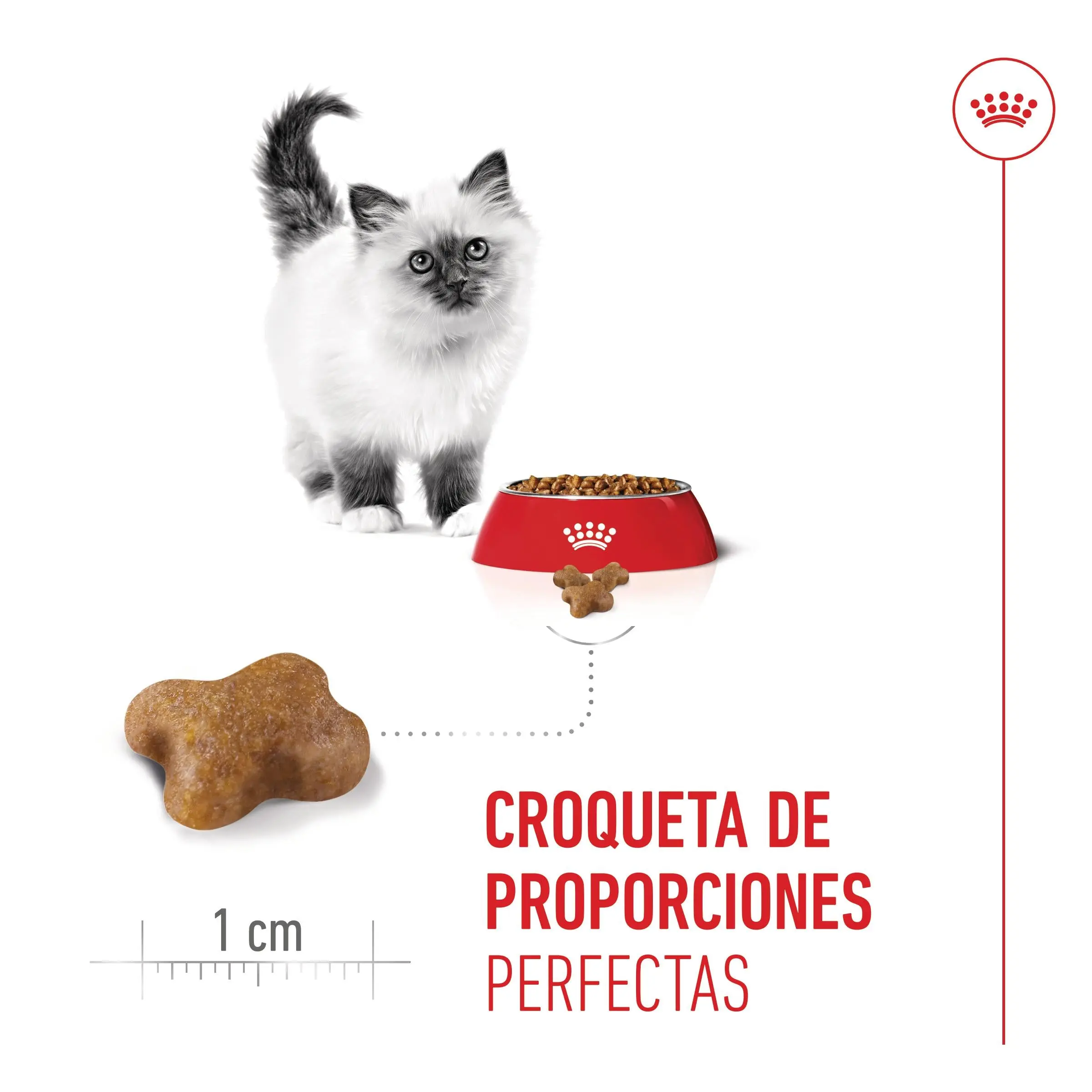 Royal Canin Kitten Pienso para Gatitos - Image 10
