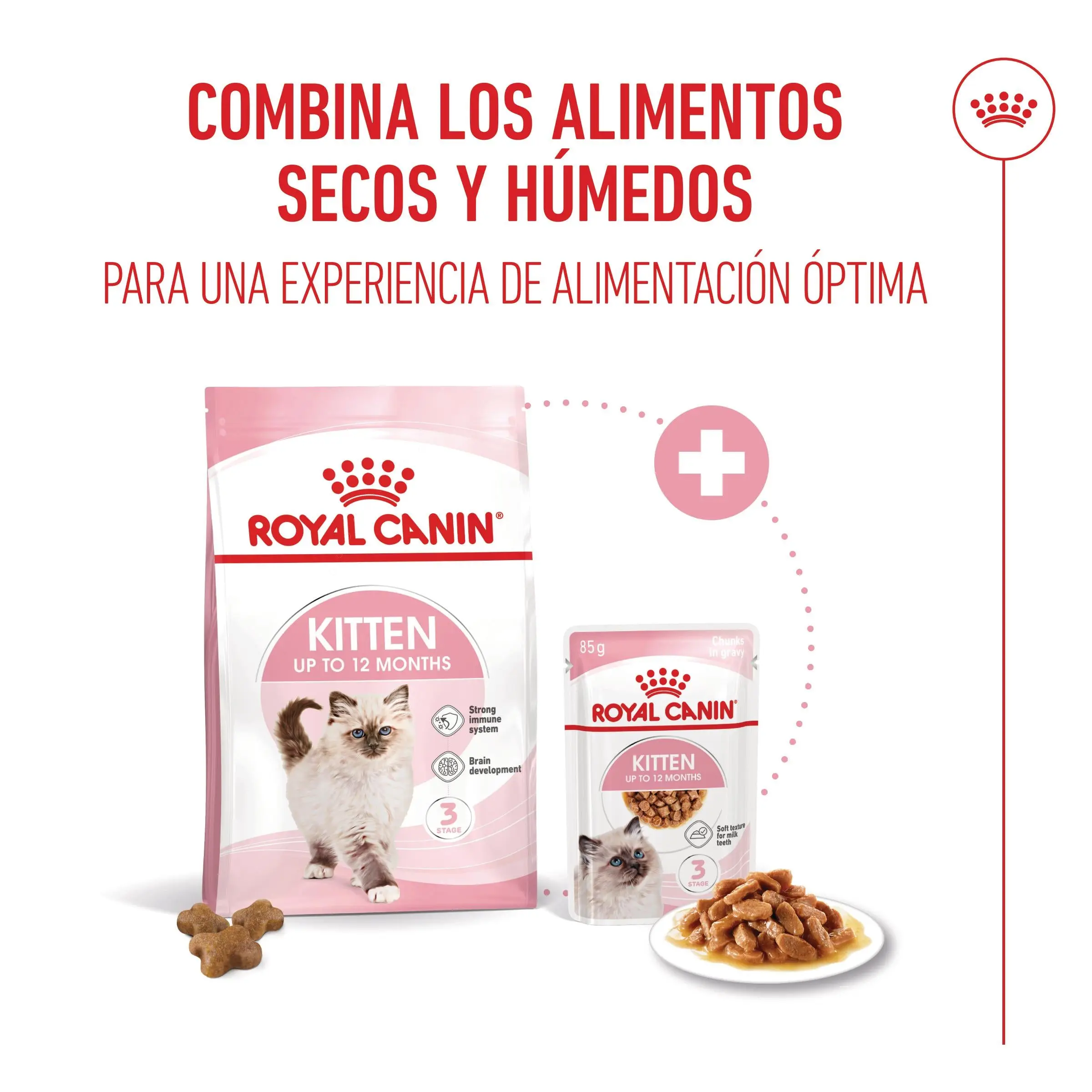 Royal Canin Kitten Pienso para Gatitos - Image 11