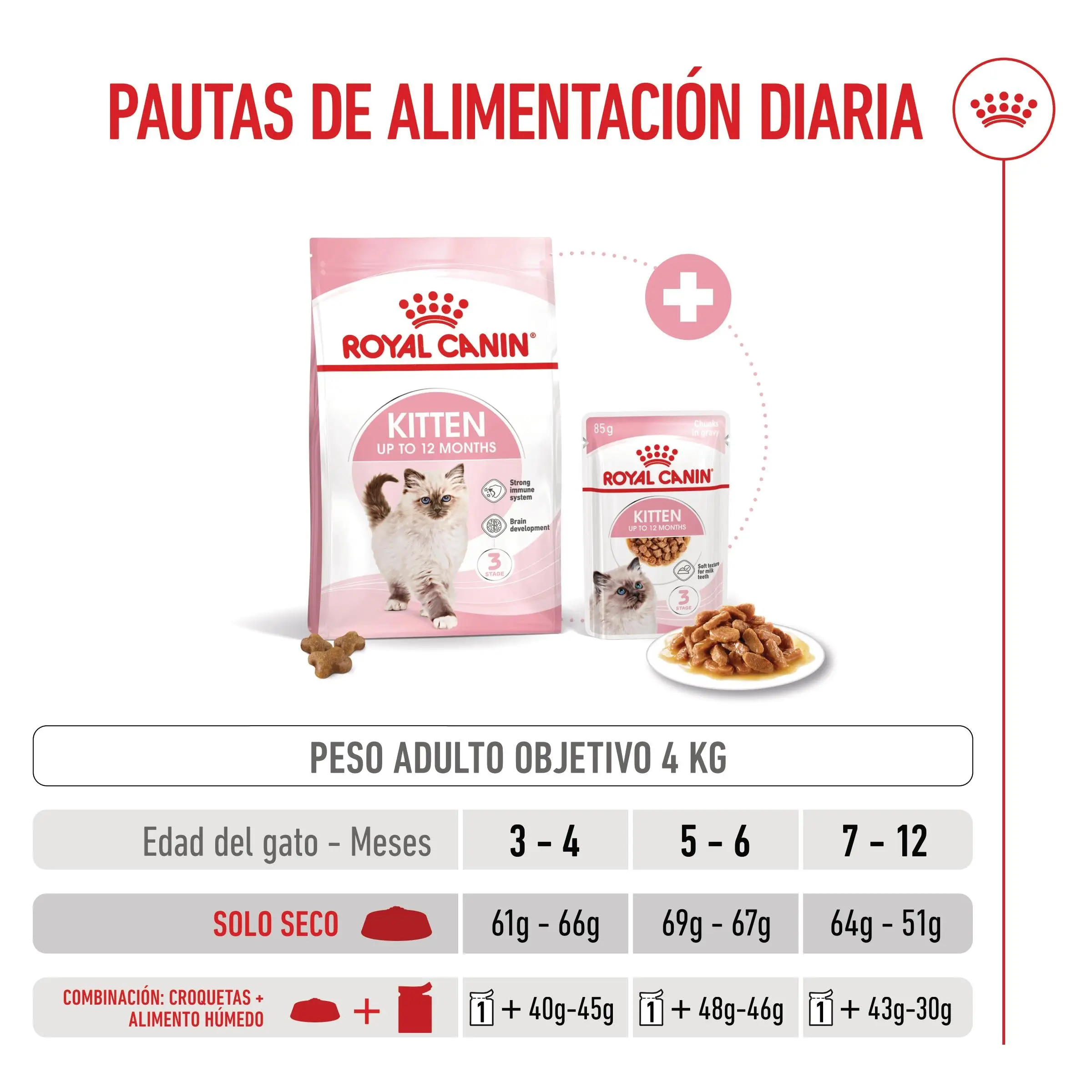 Royal Canin Kitten Pienso para Gatitos - Image 4