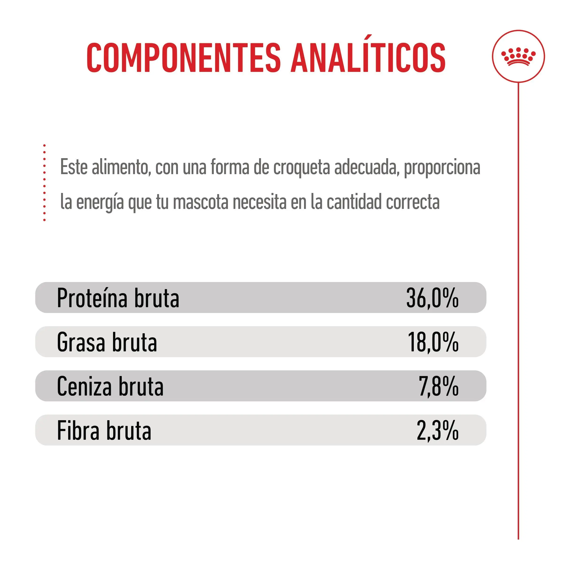 Royal Canin Kitten Pienso para Gatitos - Image 5